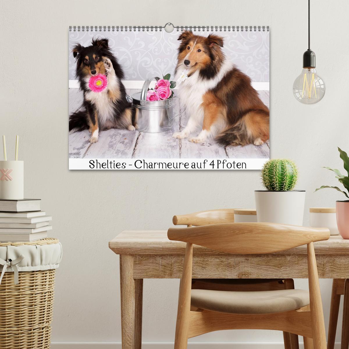 Bild: 9783435731756 | Shelties : Charmeure auf 4 Pfoten (Wandkalender 2025 DIN A3 quer),...