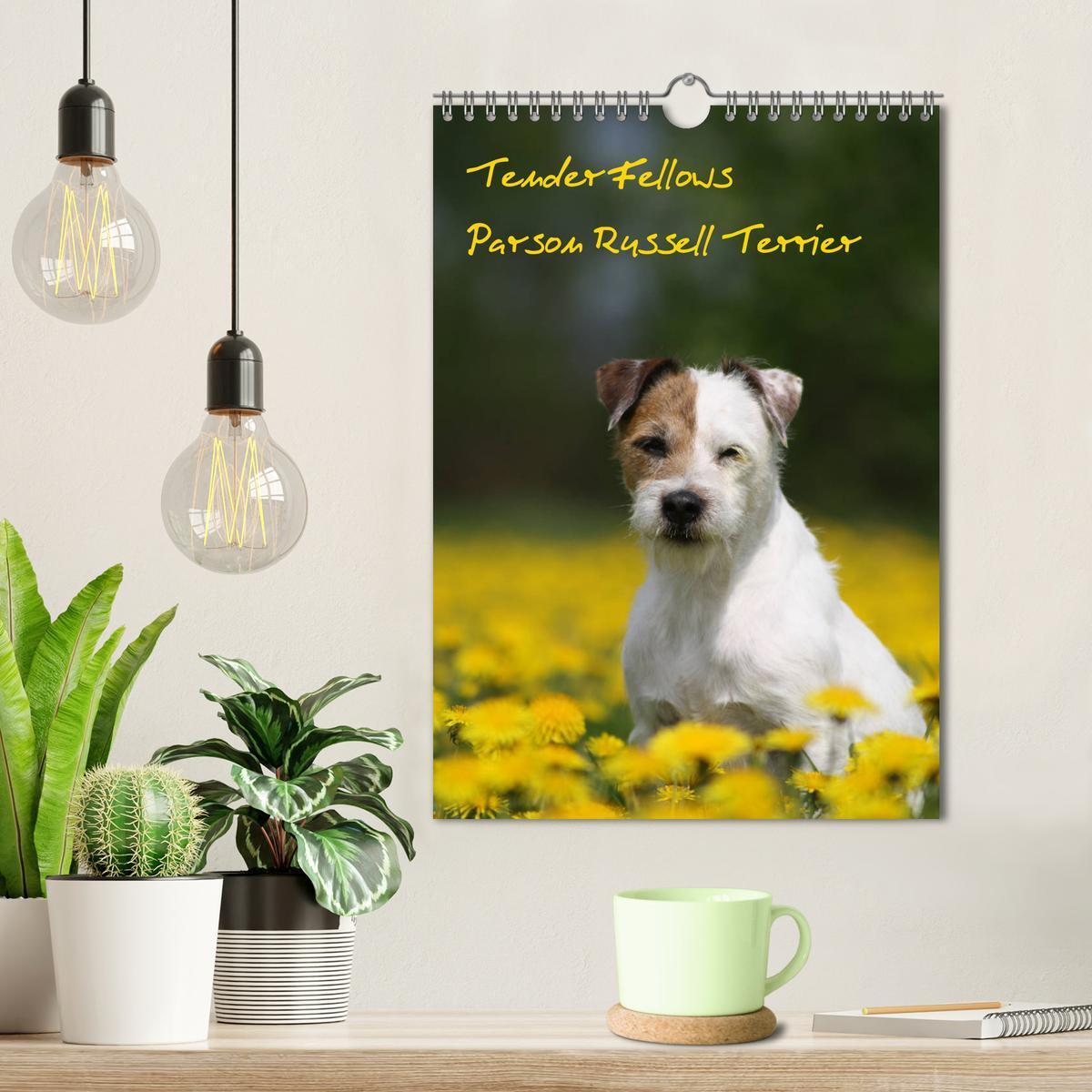 Bild: 9783435996063 | Tender Fellows - Parson Russell Terrier (Wandkalender 2025 DIN A4...