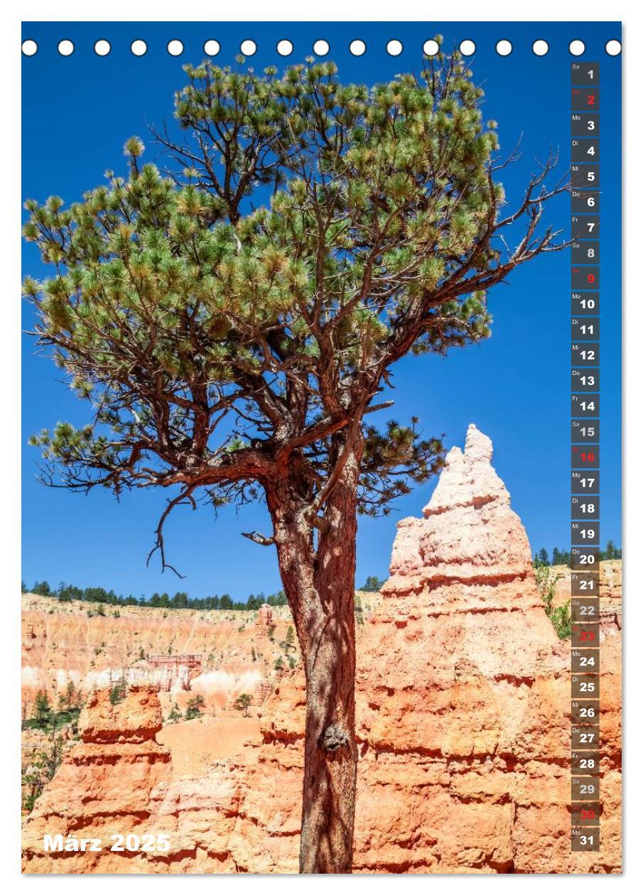 Bild: 9783435972319 | BRYCE CANYON Natur Pur (Tischkalender 2025 DIN A5 hoch), CALVENDO...