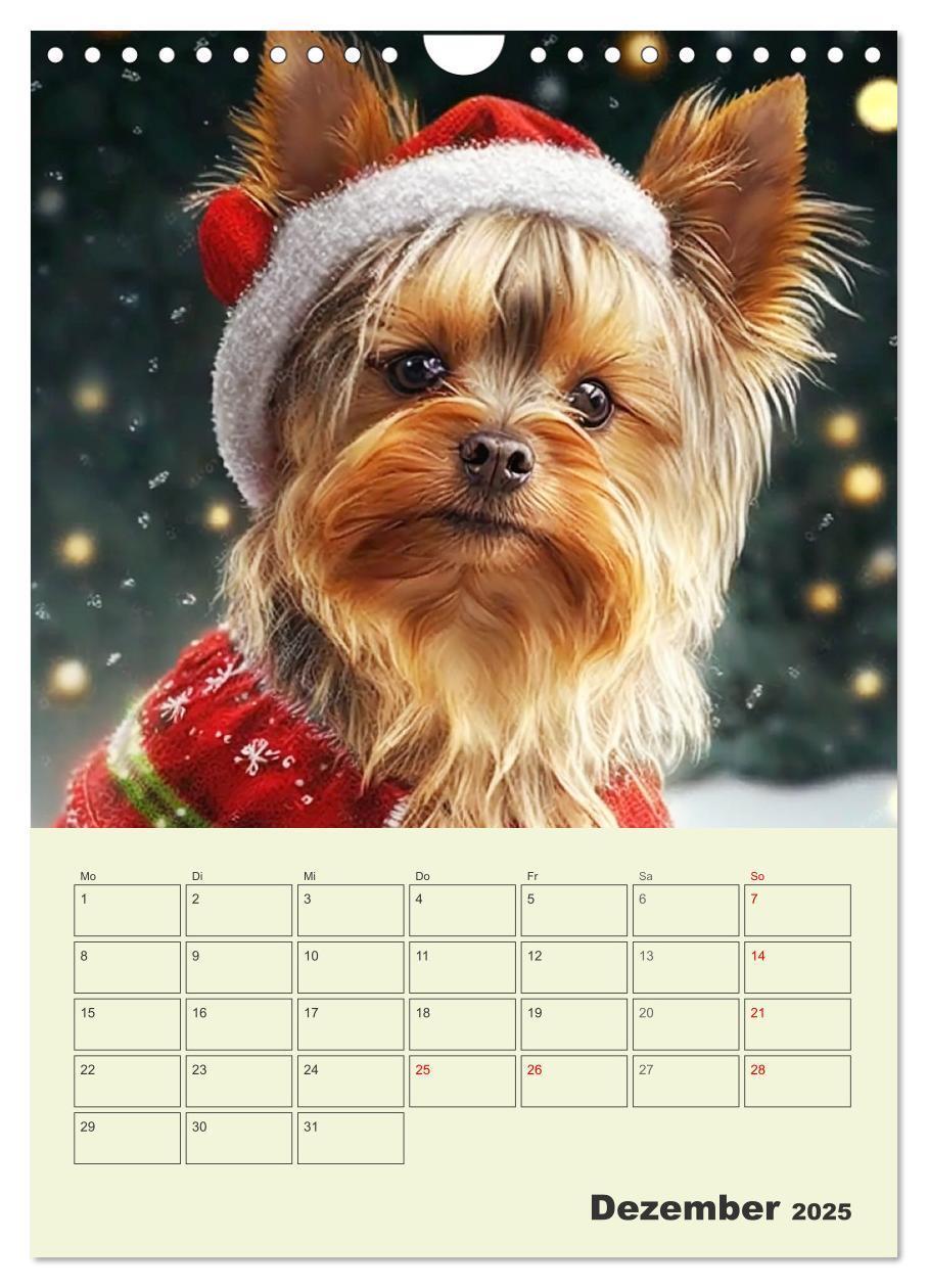 Bild: 9783435869886 | Yorkshire Terrier. Fröhliche Energiebündel in Aktion (Wandkalender...