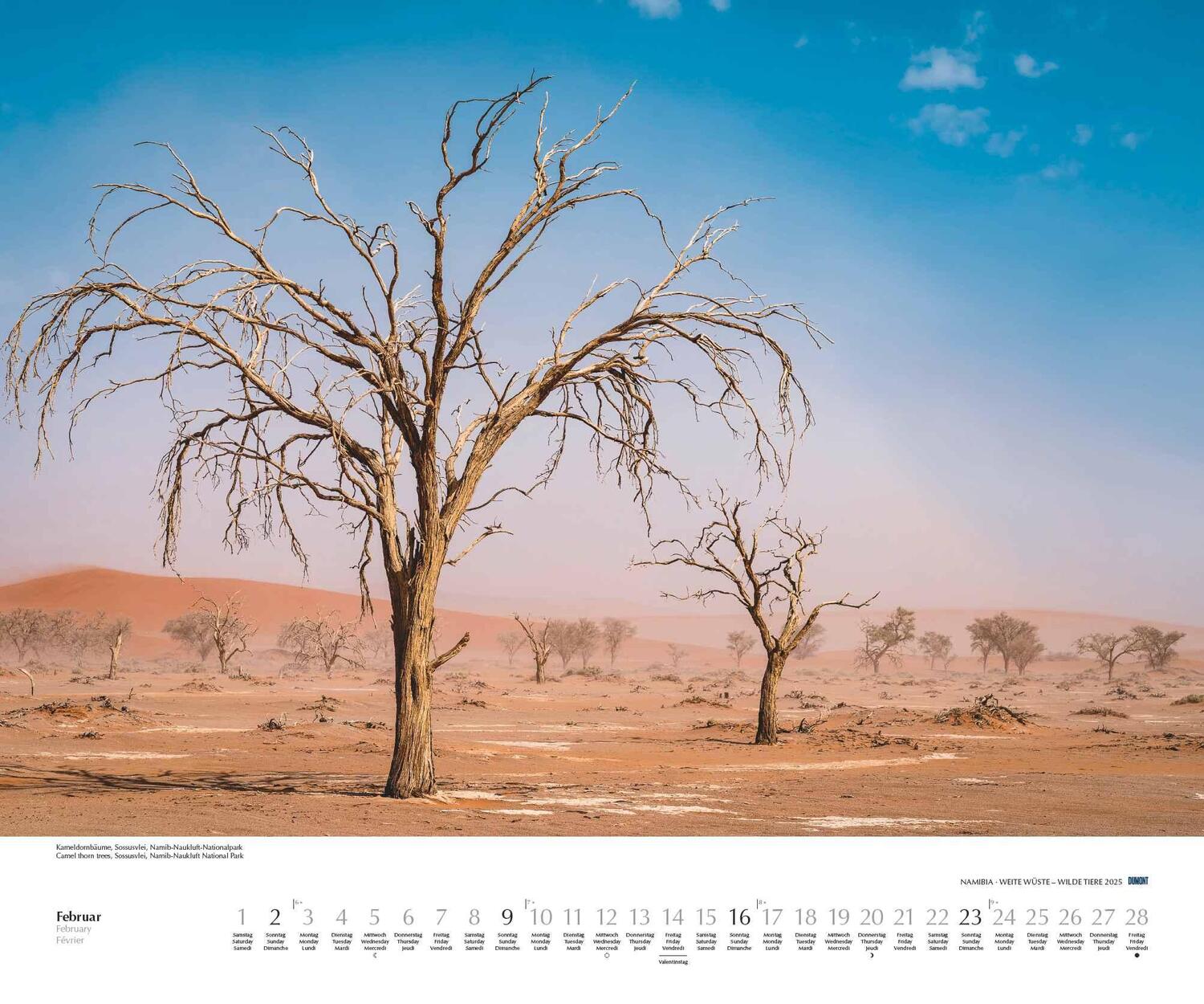 Bild: 4250809653761 | Namibia 2025 - Foto-Kalender - Poster-Kalender - 60x50 - Wildnis -...