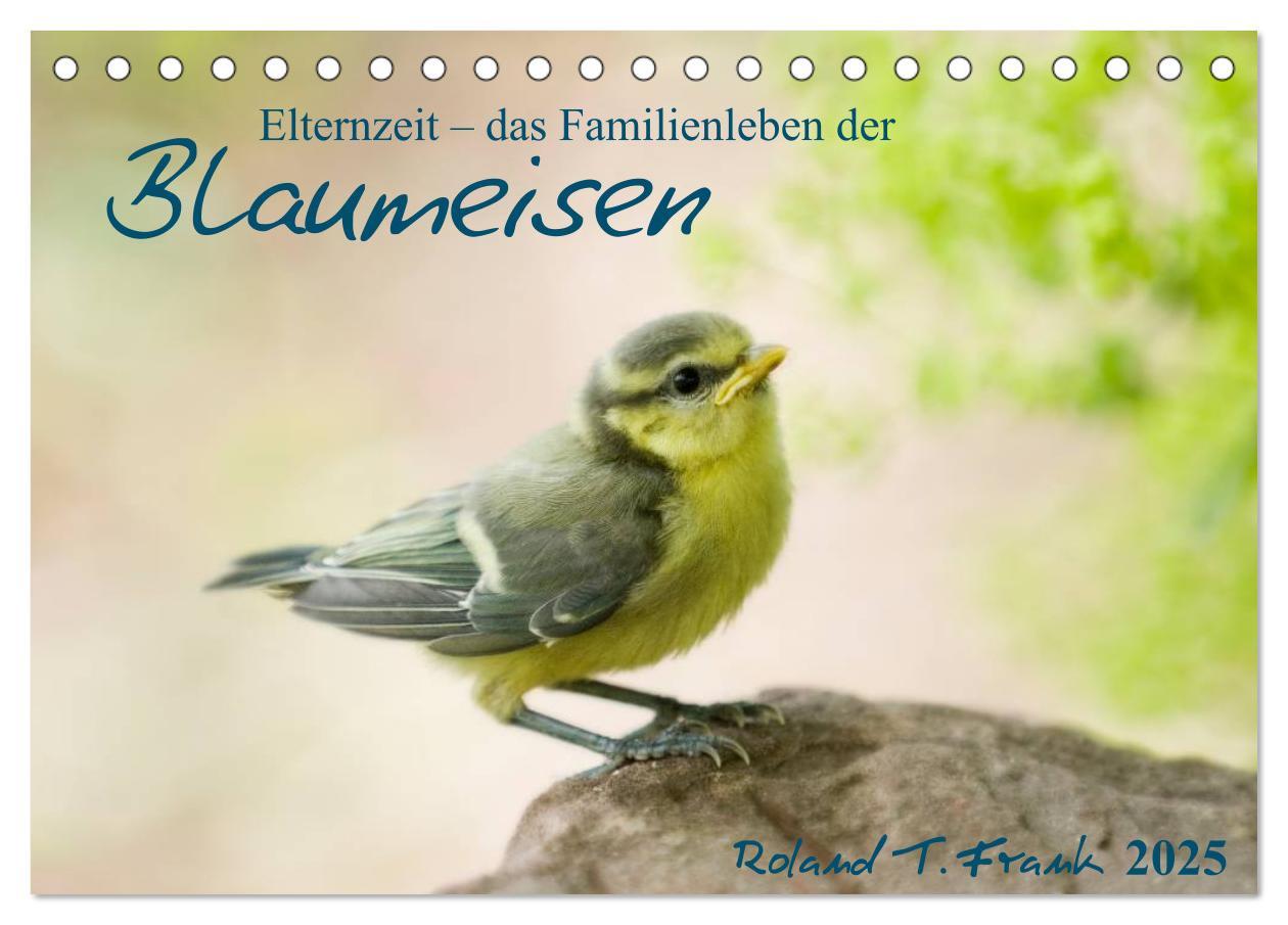 Cover: 9783435806003 | Elternzeit - das Familienleben der Blaumeisen (Tischkalender 2025...