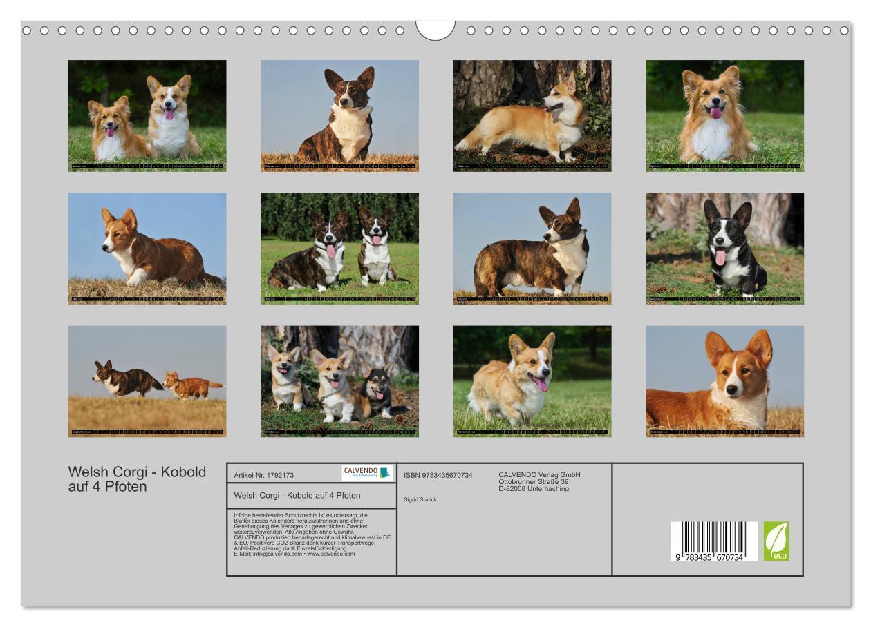 Bild: 9783435670734 | Welsh Corgi - Kobold auf 4 Pfoten (Wandkalender 2025 DIN A3 quer),...