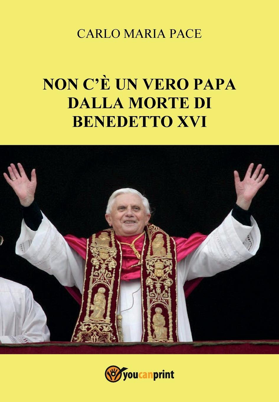 Cover: 9791221483864 | Non c'è un vero Papa dalla morte di Benedetto XVI | Carlo Maria Pace