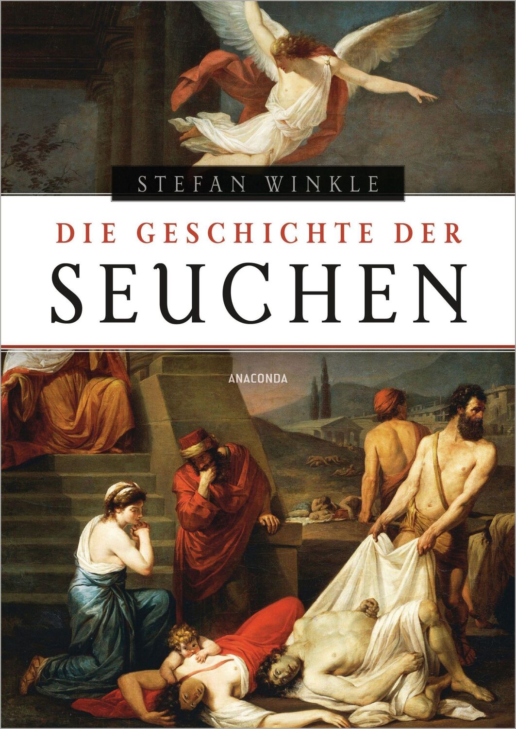 Cover: 9783730609637 | Die Geschichte der Seuchen | Stefan Winkle | Buch | 1572 S. | Deutsch