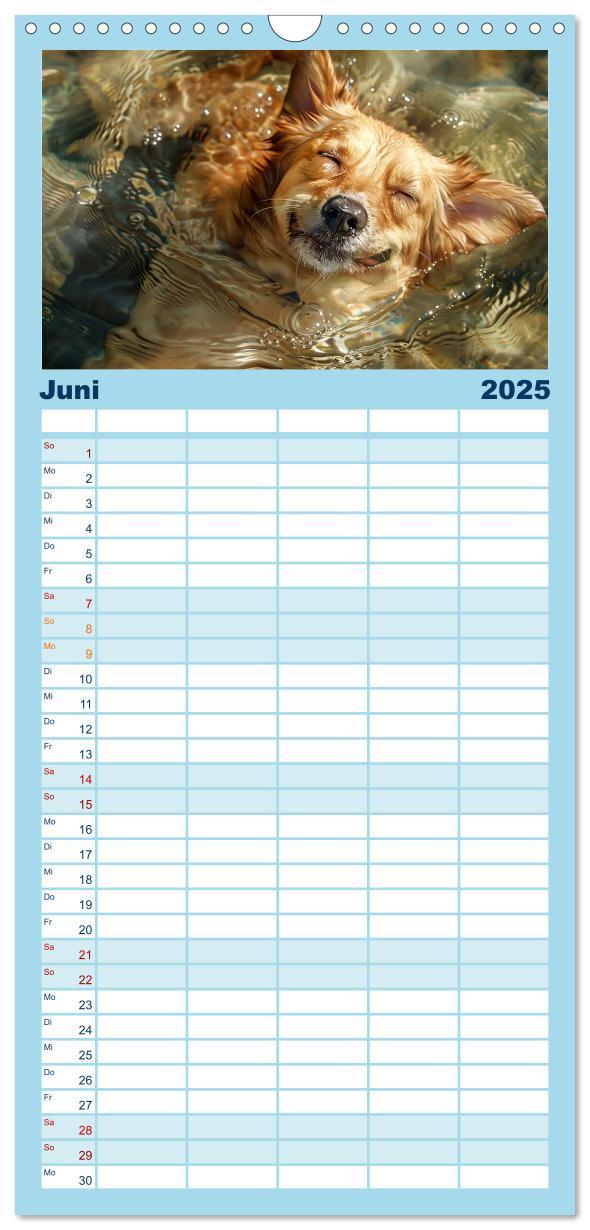 Bild: 9783457195499 | Familienplaner 2025 - Hunde und Wasser mit 5 Spalten (Wandkalender,...