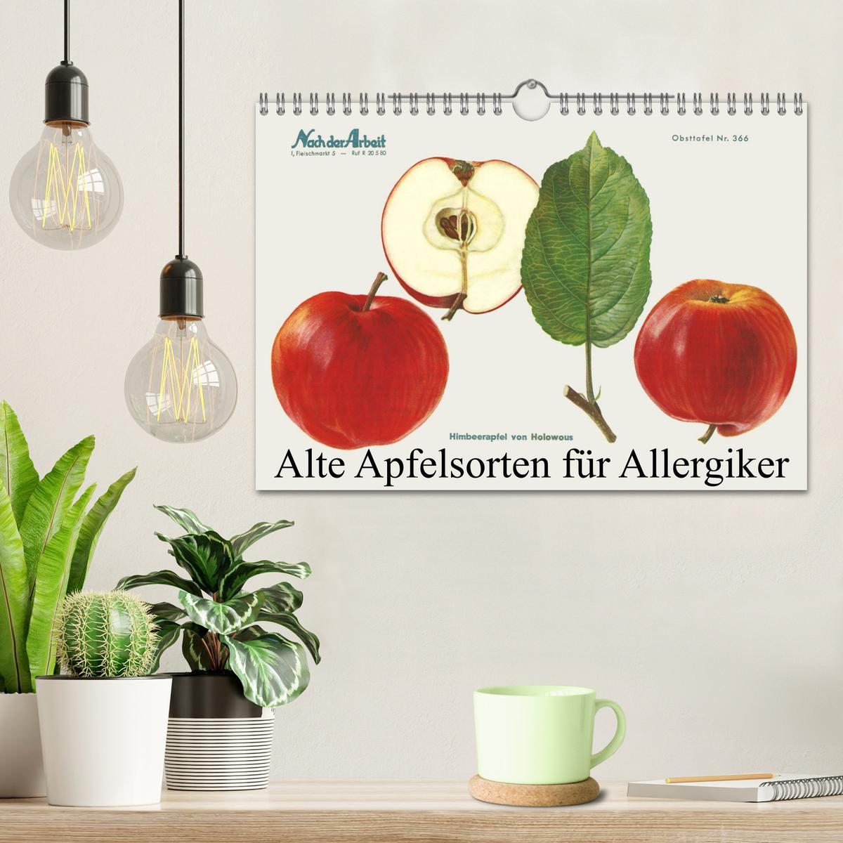 Bild: 9783383952777 | Alte Apfelsorten für Allergiker (Wandkalender 2025 DIN A4 quer),...