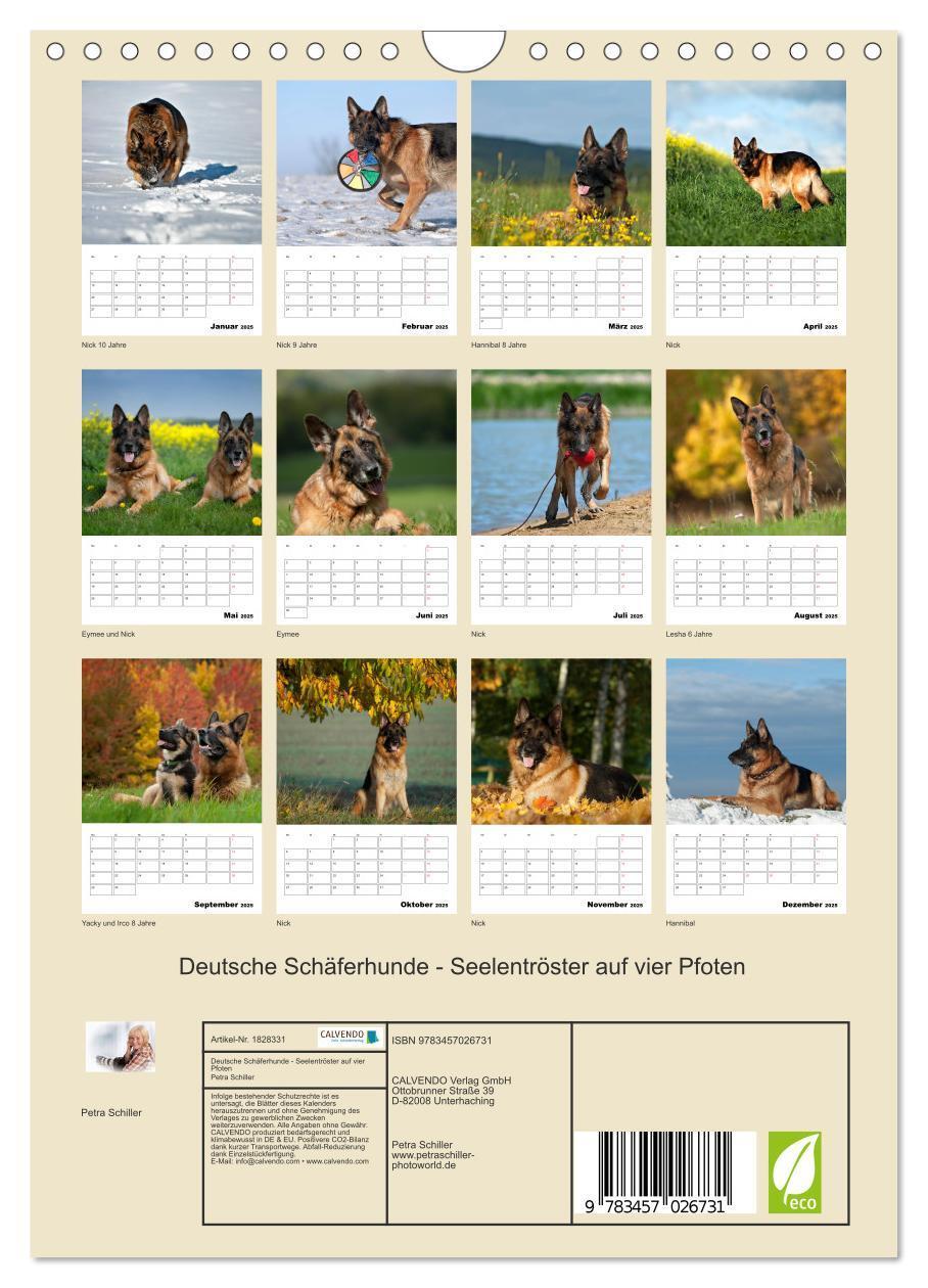 Bild: 9783457026731 | Deutsche Schäferhunde - Seelentröster auf vier Pfoten (Wandkalender...