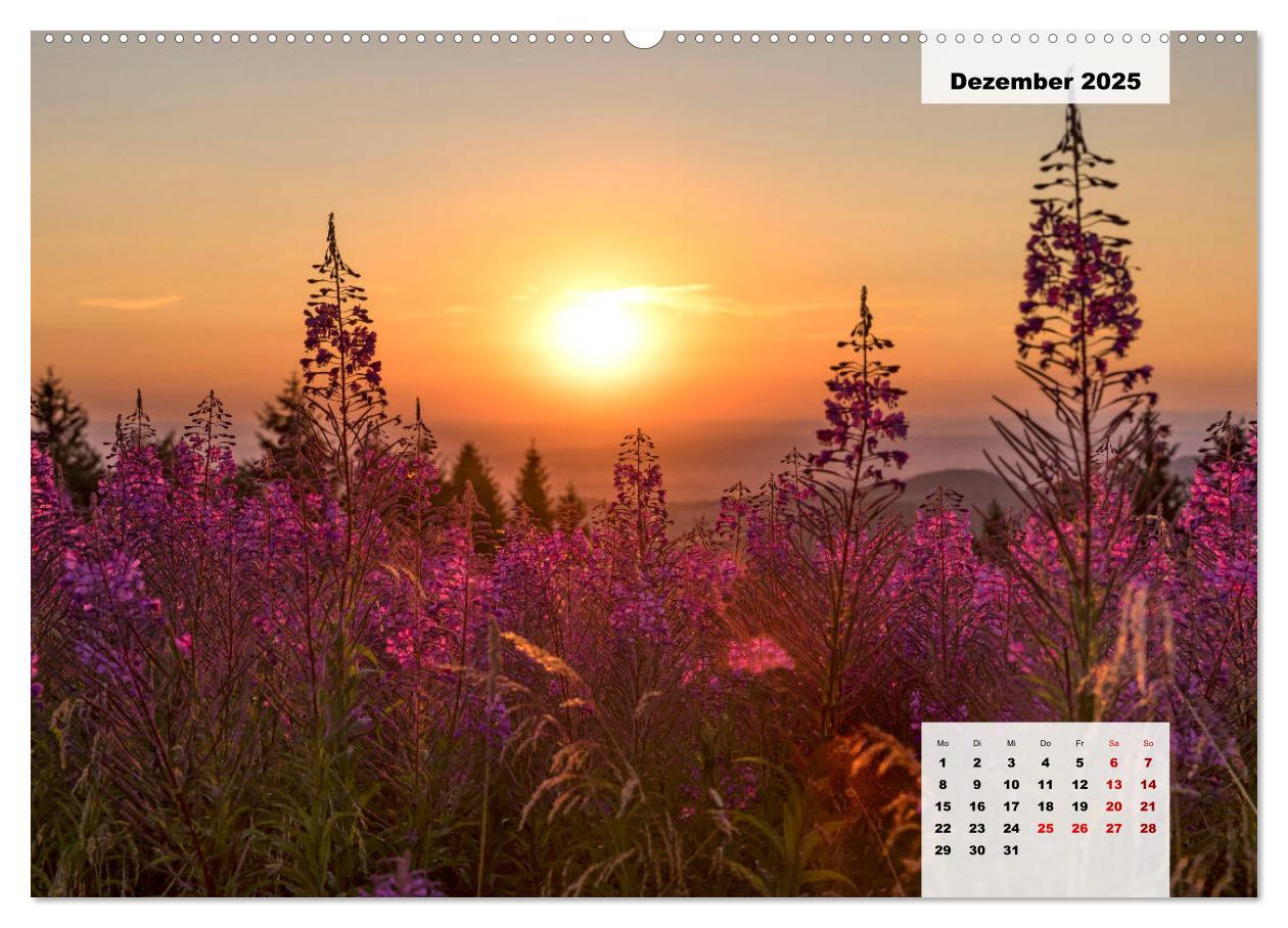 Bild: 9783435304714 | Rhöner Röschen - ein Sommermärchen in der Hochrhön (Wandkalender...