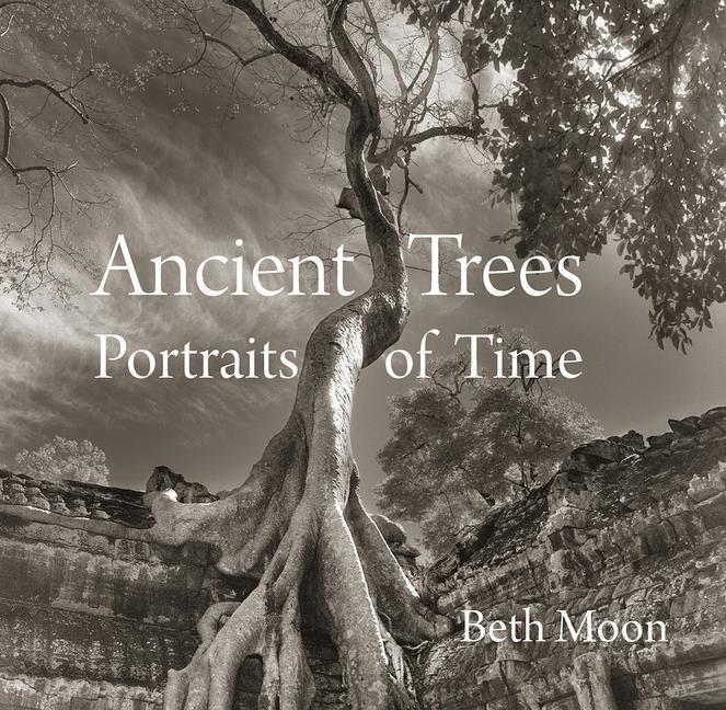 Cover: 9780789211958 | Ancient Trees | Portraits of Time | Beth Moon | Buch | Gebunden | 2014