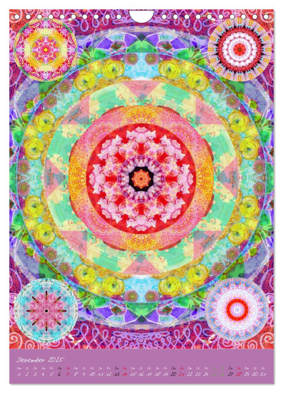 Bild: 9783457044155 | BLUMEN MANDALAS (Wandkalender 2025 DIN A4 hoch), CALVENDO...