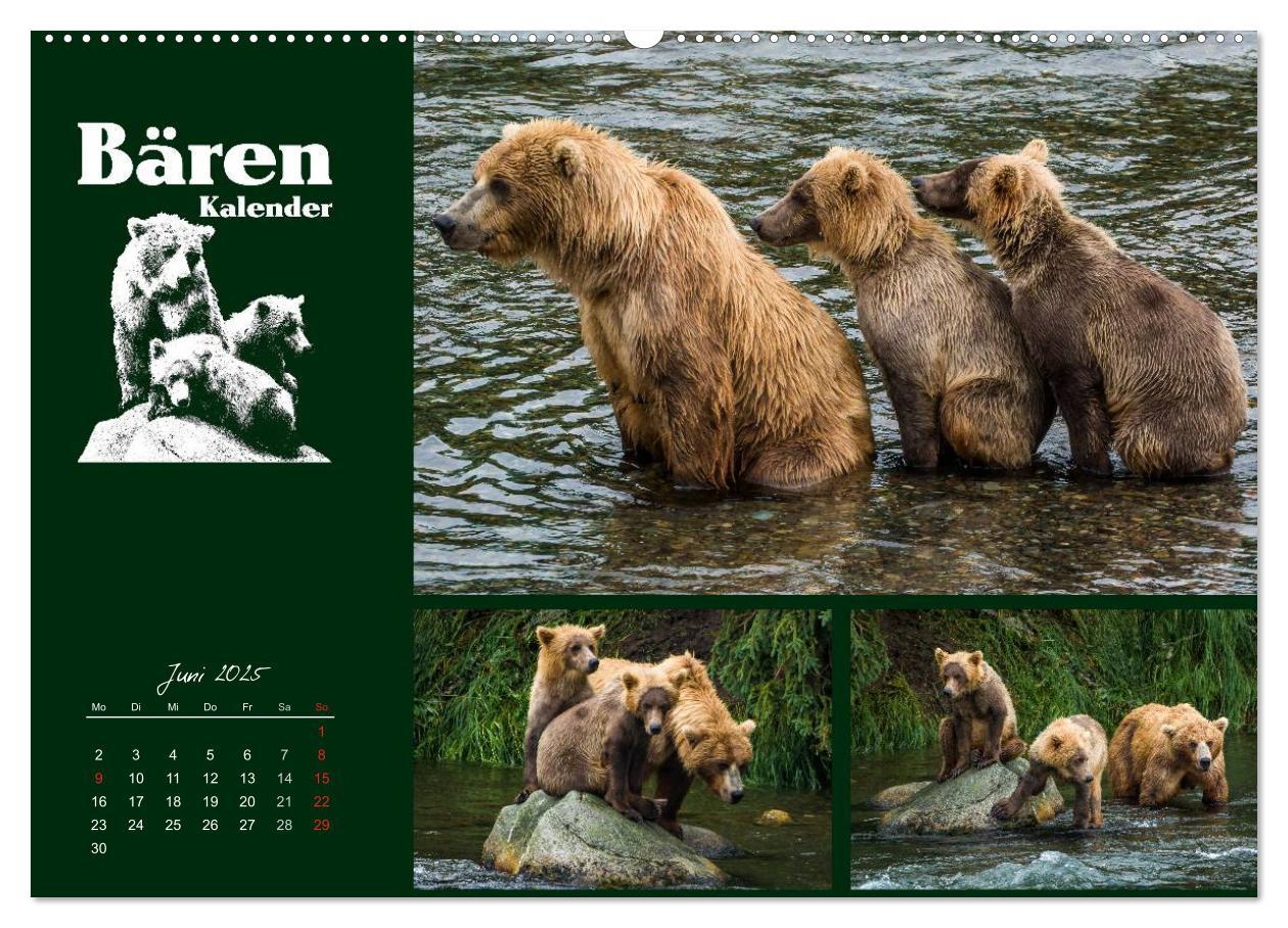 Bild: 9783435709519 | Bärenkalender (Wandkalender 2025 DIN A2 quer), CALVENDO Monatskalender