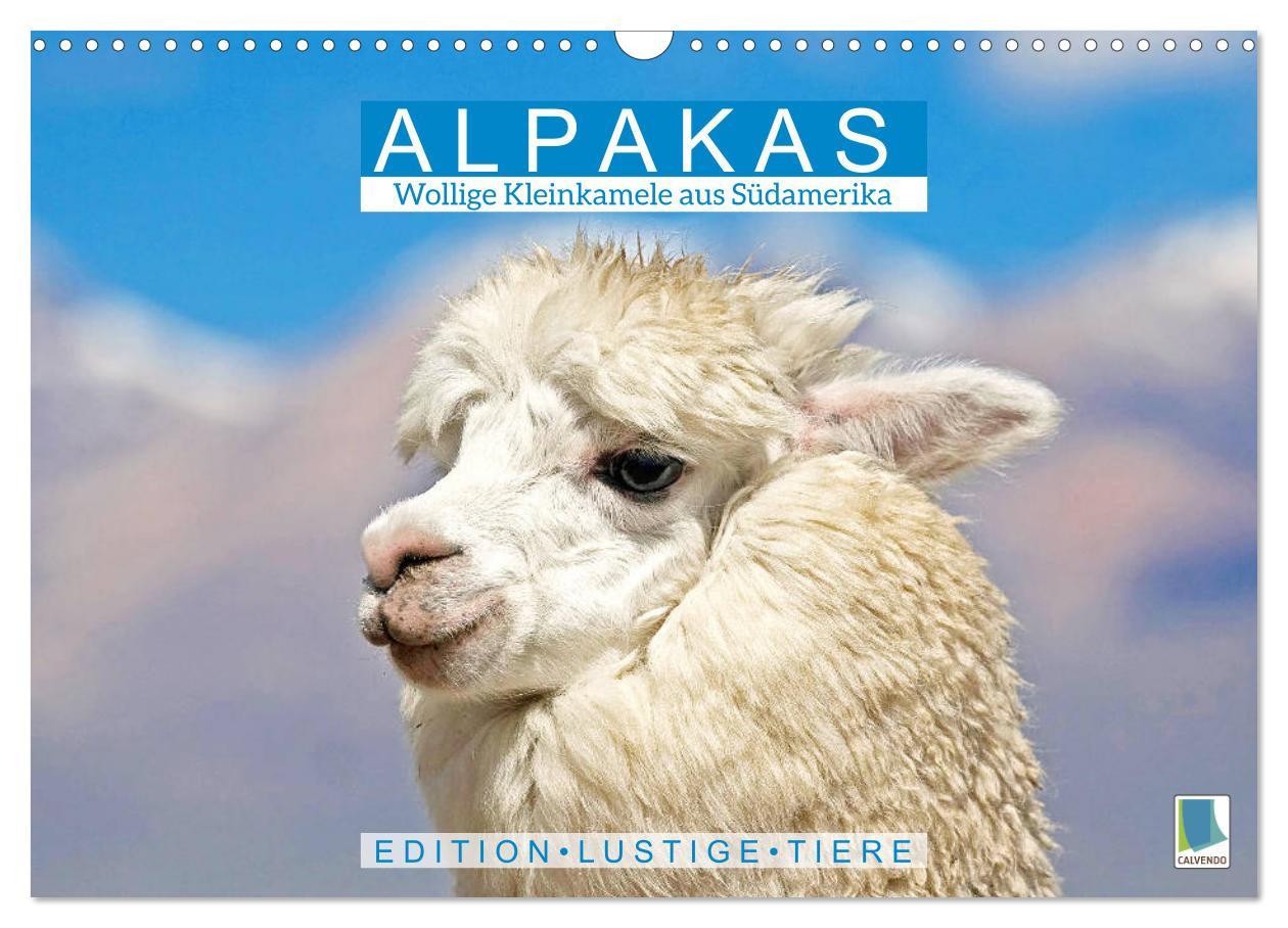 Cover: 9783435141951 | Alpakas: Wollige Kleinkamele aus Südamerika - Edition lustige Tiere...