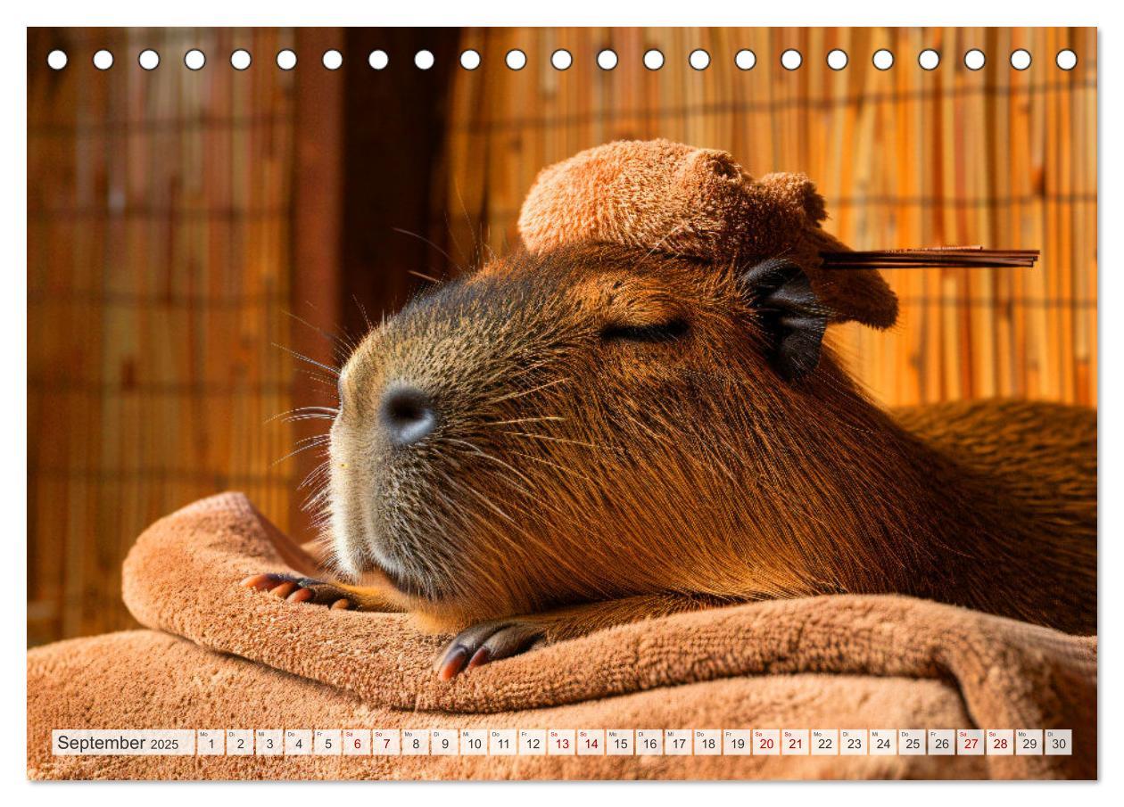 Bild: 9783457163993 | Capybaras im Alltag - Ein Jahr voller Abenteuer (Tischkalender 2025...