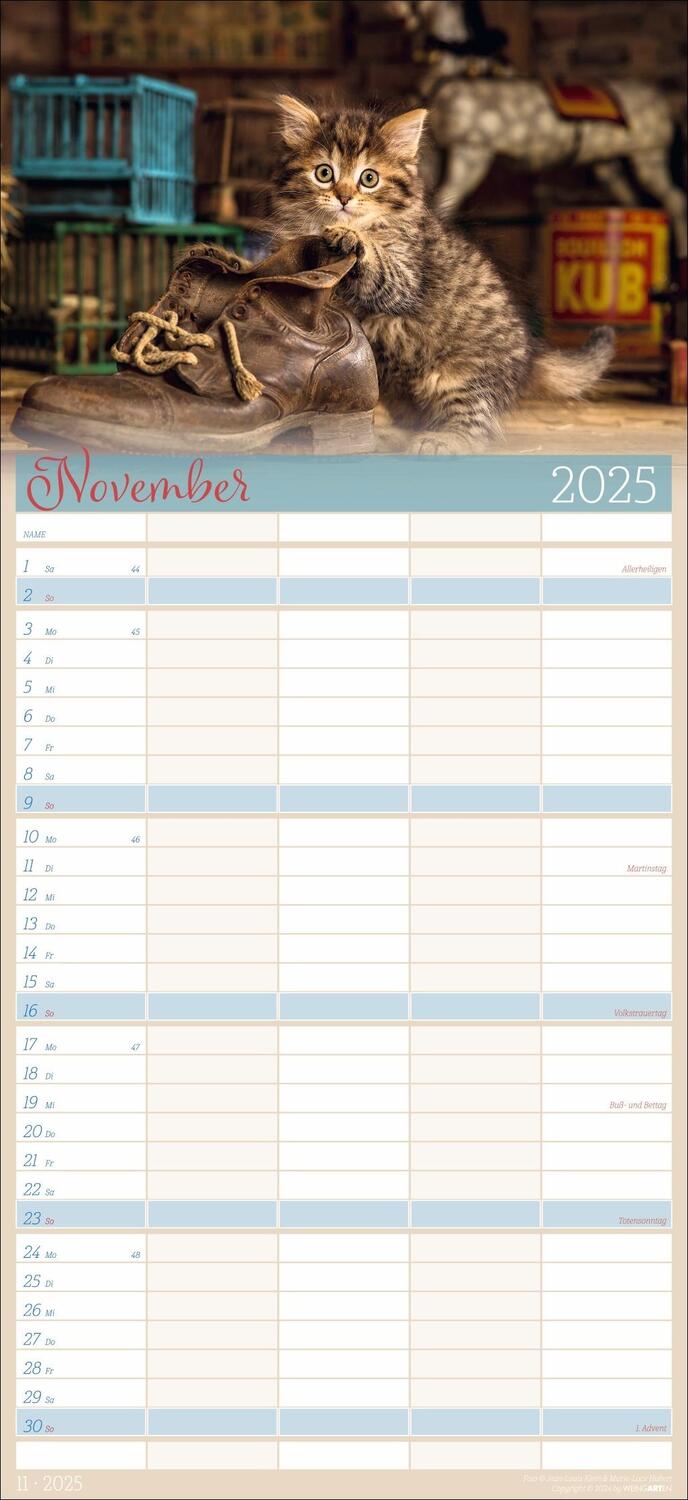 Bild: 9783839901038 | Cool Cats Familienplaner 2025 | Kalender | Spiralbindung | 15 S.