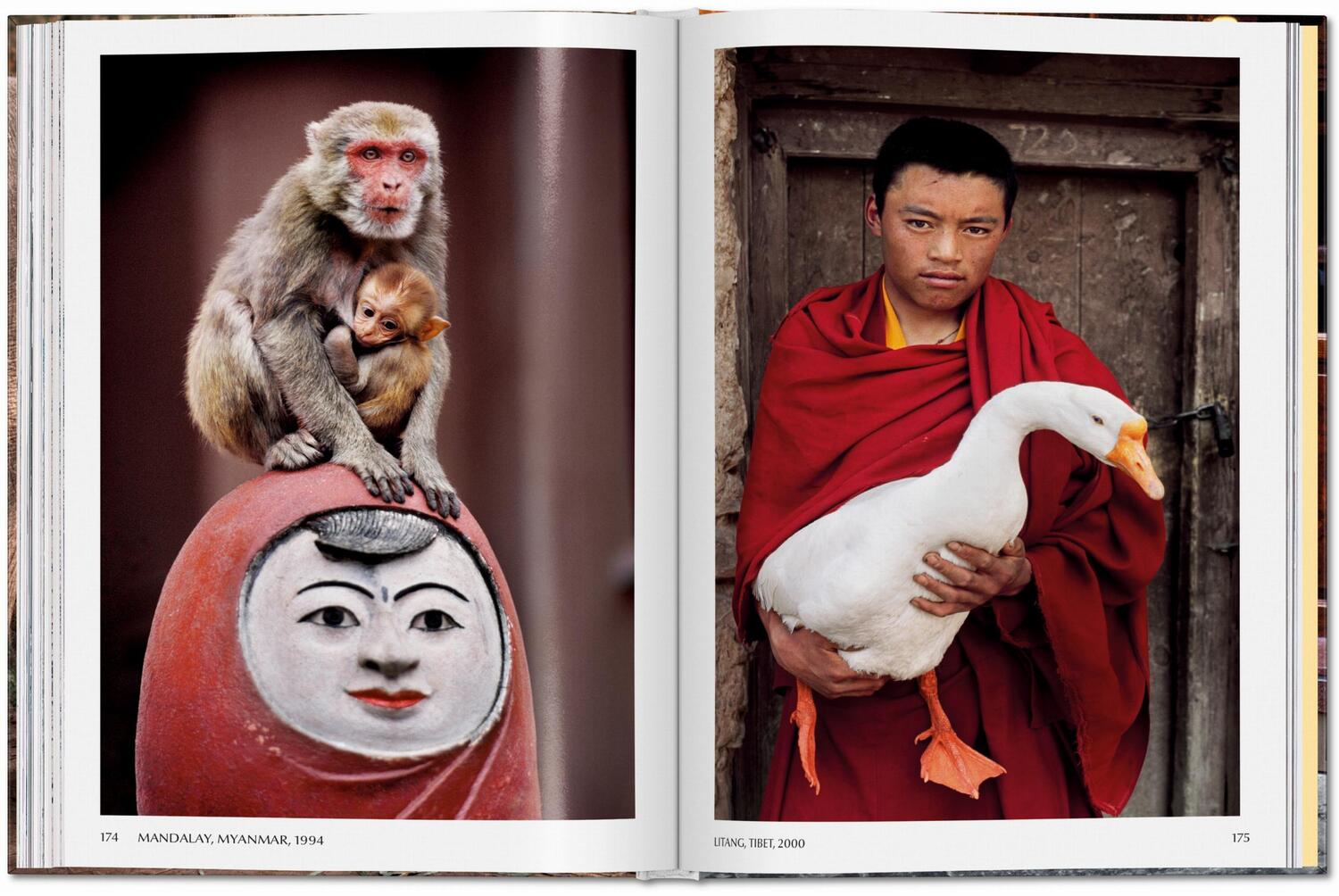 Bild: 9783836597036 | Steve McCurry. Animals | Reuel Golden | Buch | 192 S. | Englisch