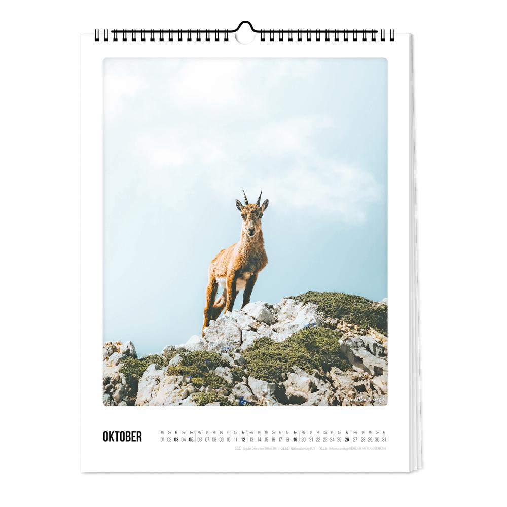 Bild: 4251781179263 | Wandkalender 2025 - Der Berg ruft | Pickmotion | Kalender | Deutsch