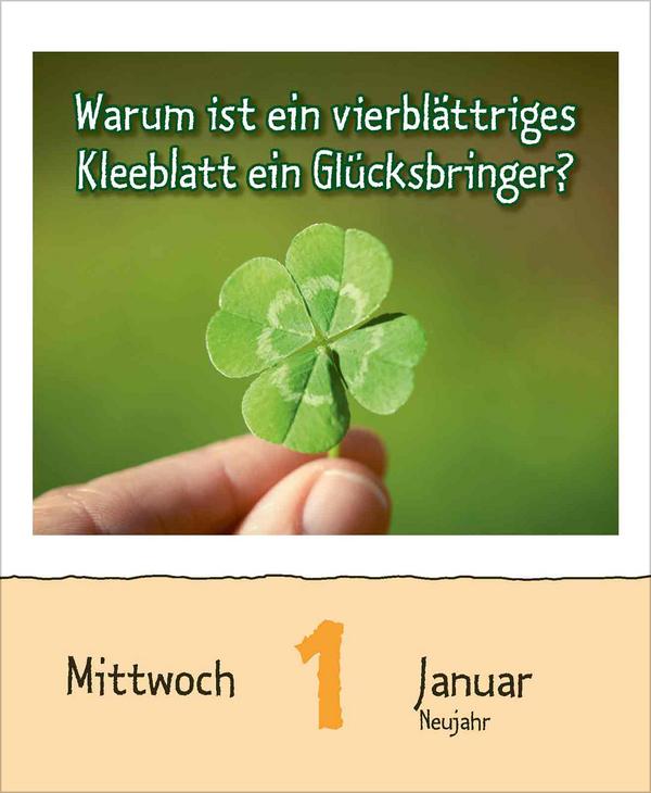 Bild: 9783731877363 | Warum wackelt Wackelpudding? 2025 | Verlag Korsch | Kalender | 328 S.