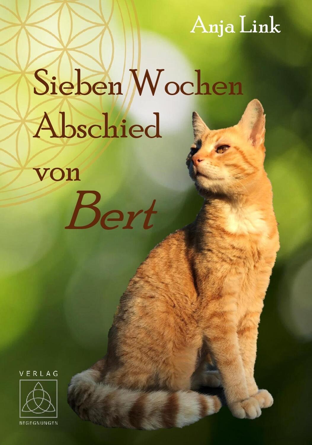 Cover: 9783946723837 | Sieben Wochen Abschied von Bert | Anja Link | Taschenbuch | 170 S.