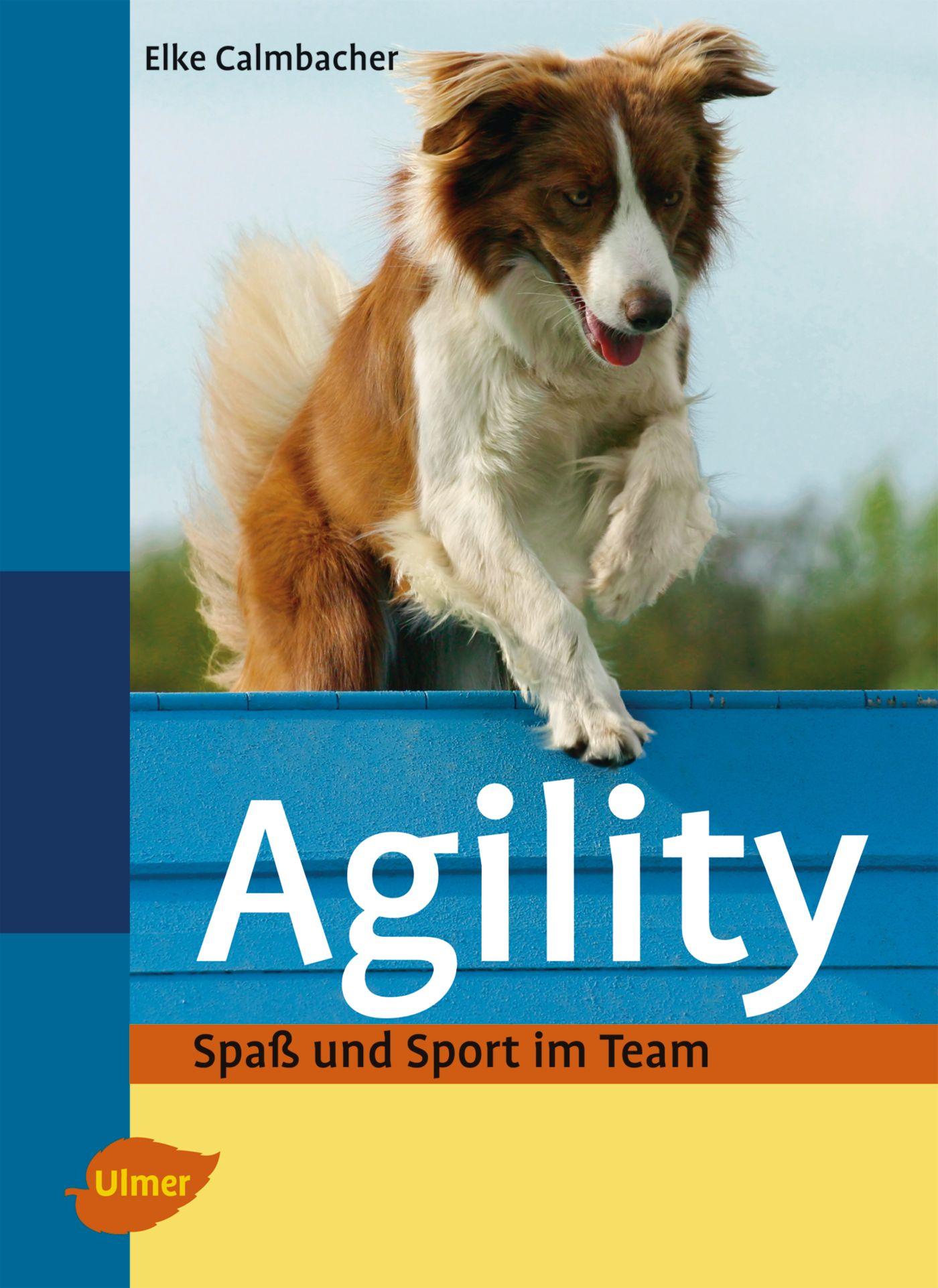 Cover: 9783800154807 | Agility | Spaß und Sport im Team | Elke Calmbacher | Buch | 135 S.