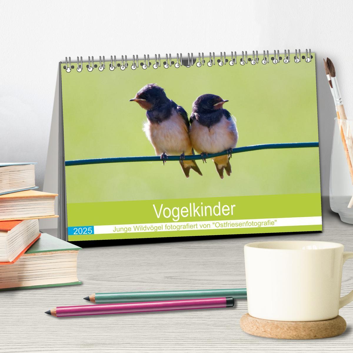 Bild: 9783435024612 | Vogelkinder - Junge Wildvögel (Tischkalender 2025 DIN A5 quer),...