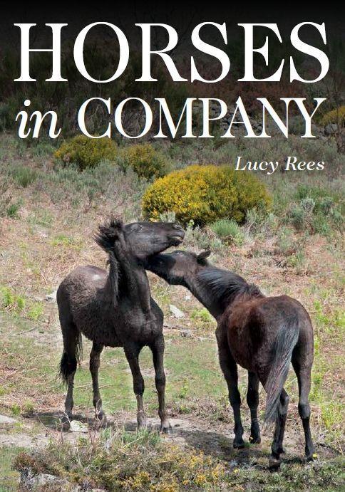 Cover: 9781908809568 | Horses in Company | Lucy Rees | Taschenbuch | Kartoniert / Broschiert