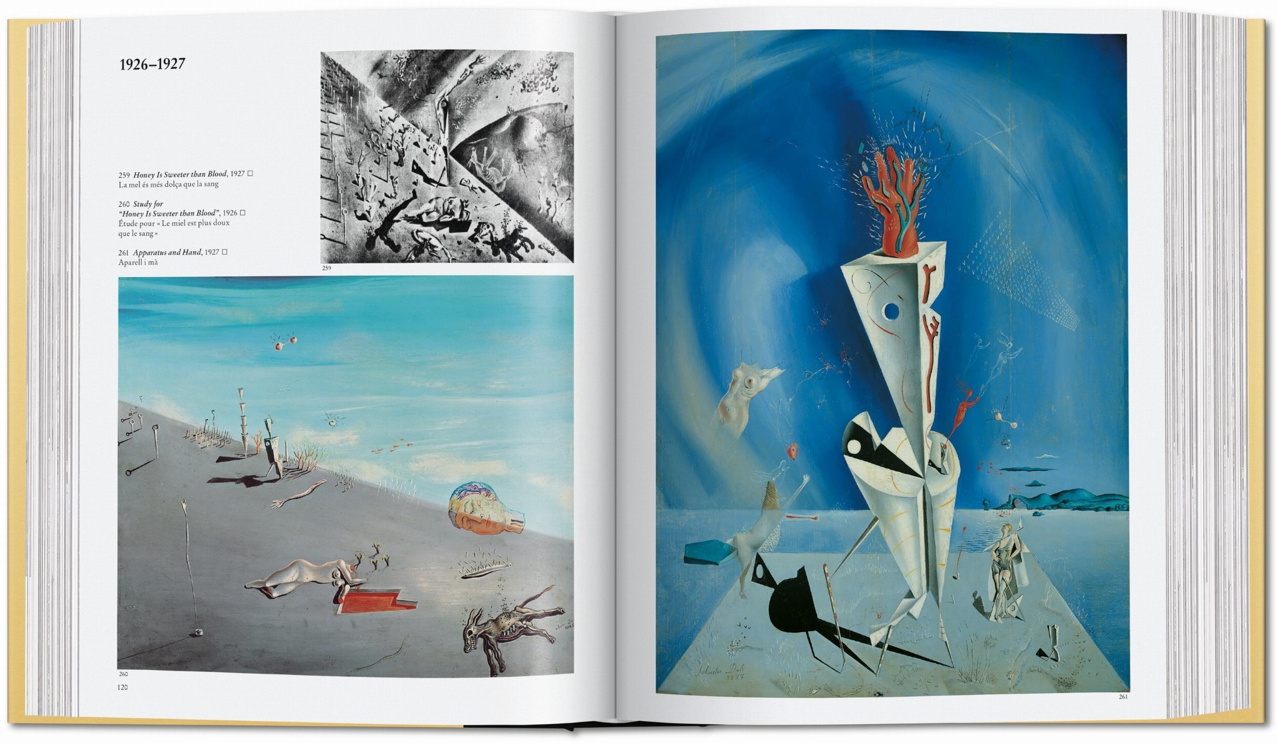 Bild: 9783836576604 | Dalí. Das malerische Werk | Robert Descharnes (u. a.) | Buch | 752 S.