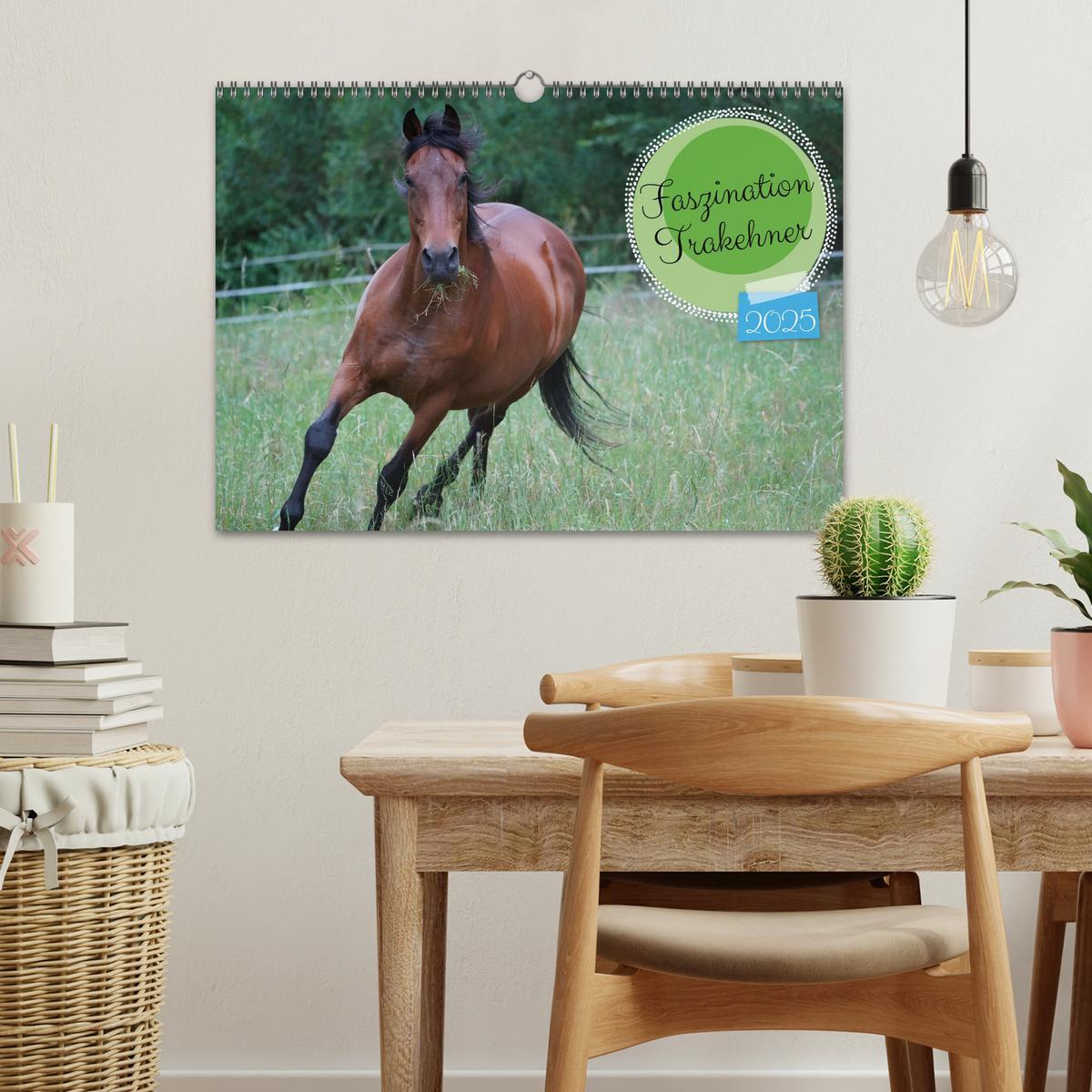 Bild: 9783383945854 | Faszination Trakehner (Wandkalender 2025 DIN A3 quer), CALVENDO...