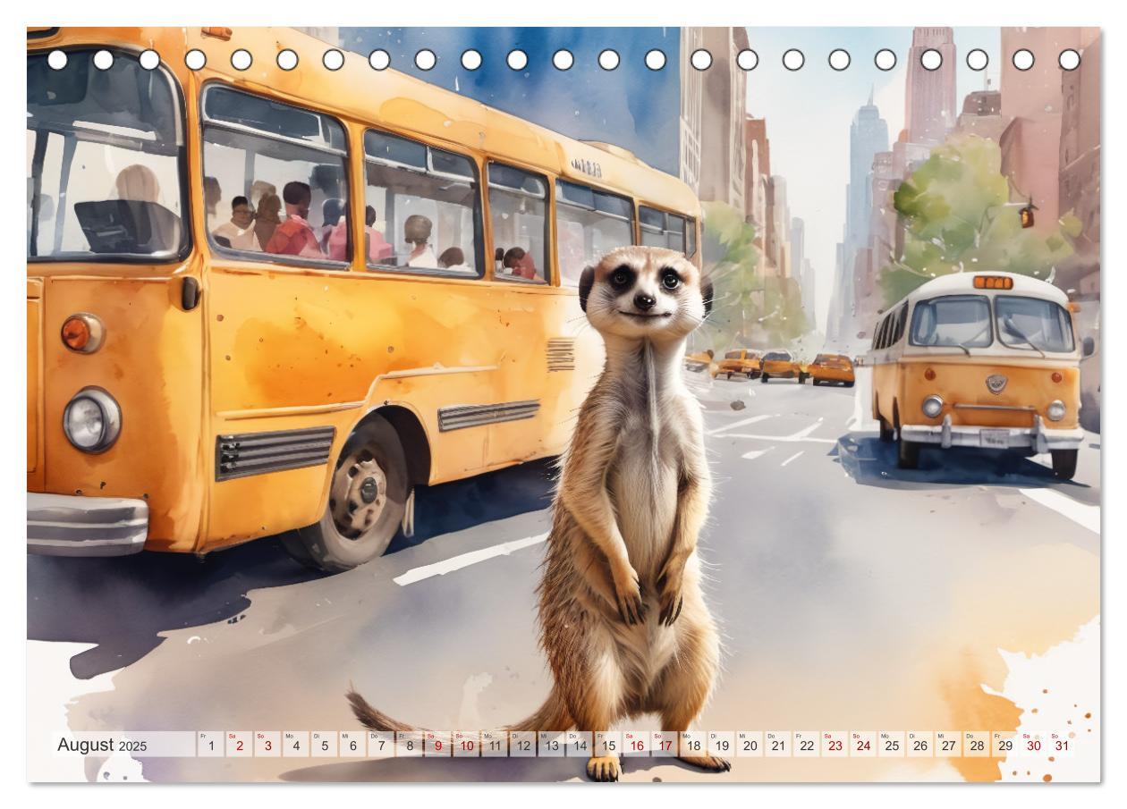 Bild: 9783383797972 | Erdmännchen in New York City (Tischkalender 2025 DIN A5 quer),...