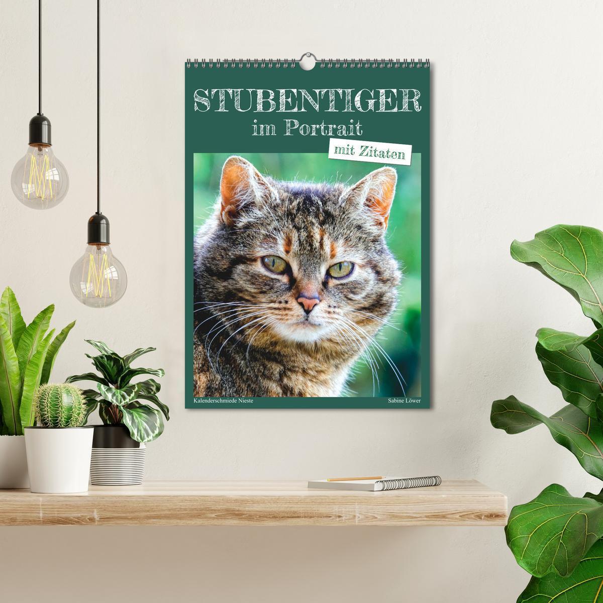 Bild: 9783435896134 | Stubentiger im Portrait (Wandkalender 2025 DIN A3 hoch), CALVENDO...