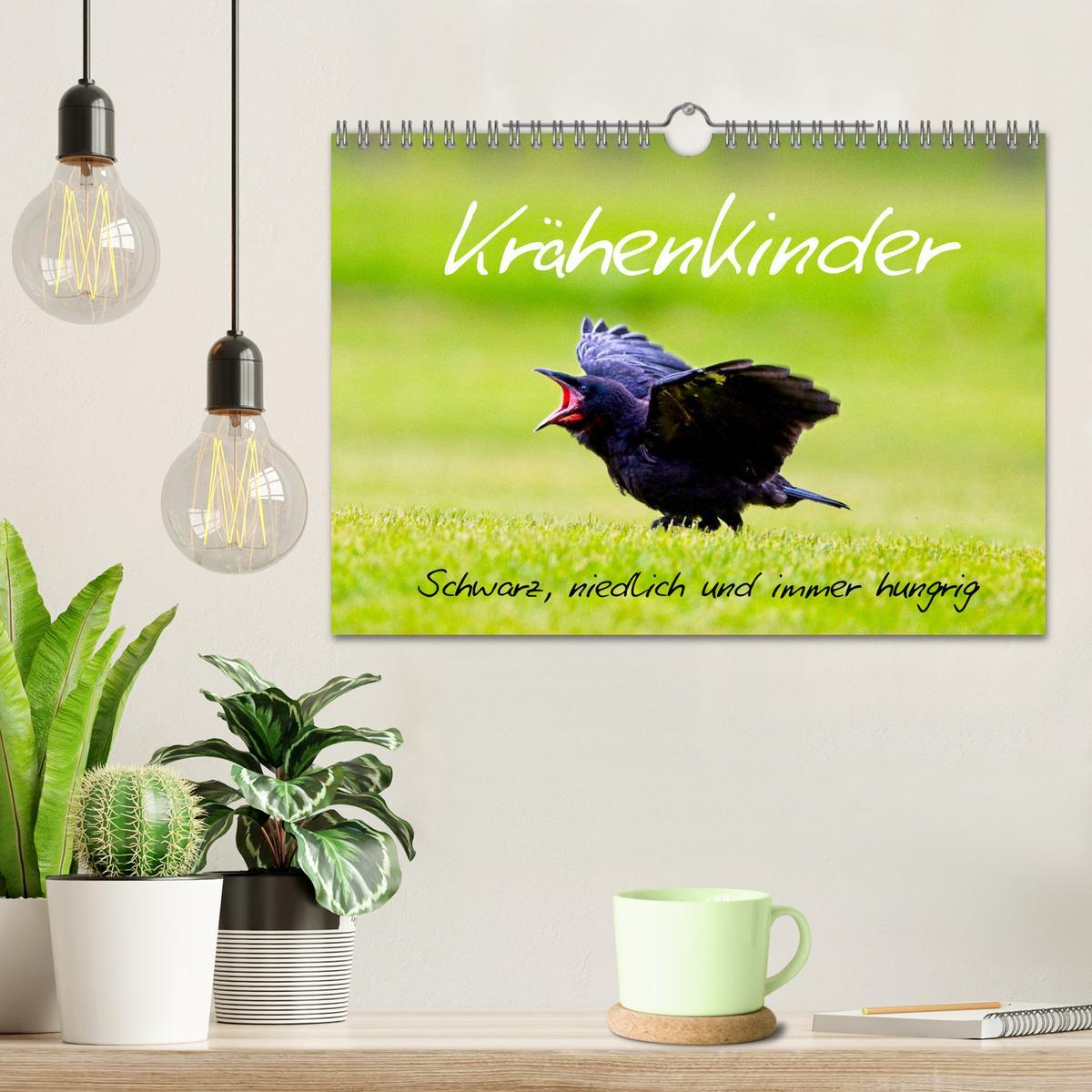 Bild: 9783457229347 | Krähenkinder - Schwarz, niedlich und immer hungrig (Wandkalender...