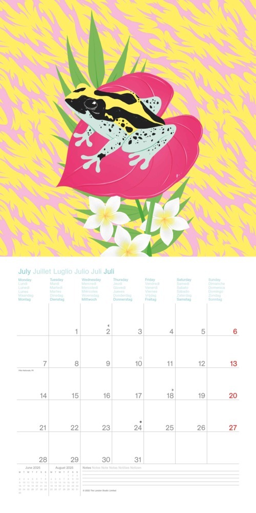 Bild: 4002725994950 | N NEUMANNVERLAGE - Sweet &amp; Wild 2025 Broschürenkalender, 30x30cm,...