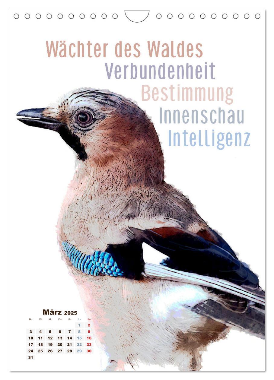 Bild: 9783457137437 | Welche spirituelle Bedeutung hat dieser Vogel? (Wandkalender 2025...