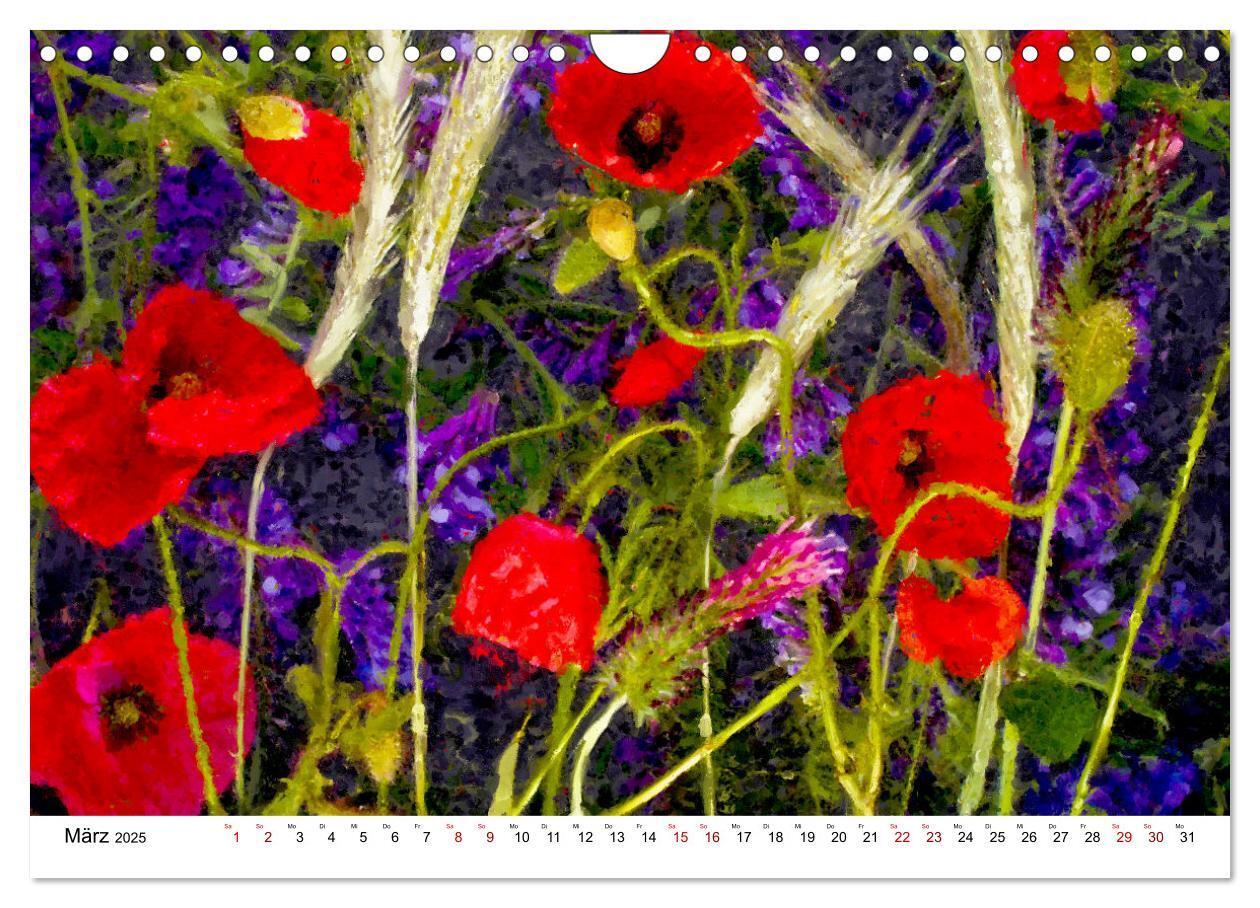 Bild: 9783383984112 | Bunte Mohnblumen - Impressionen der Mohnblüte in Acrylfarbe...