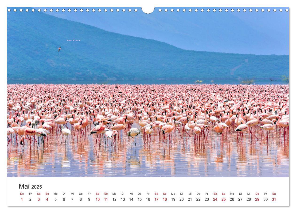 Bild: 9783435442331 | Kenia - Ein Land wie Afrika (Wandkalender 2025 DIN A3 quer),...