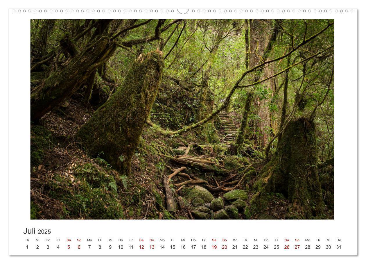 Bild: 9783435344338 | Yakushima - Japans Weltnaturerbe (Wandkalender 2025 DIN A2 quer),...