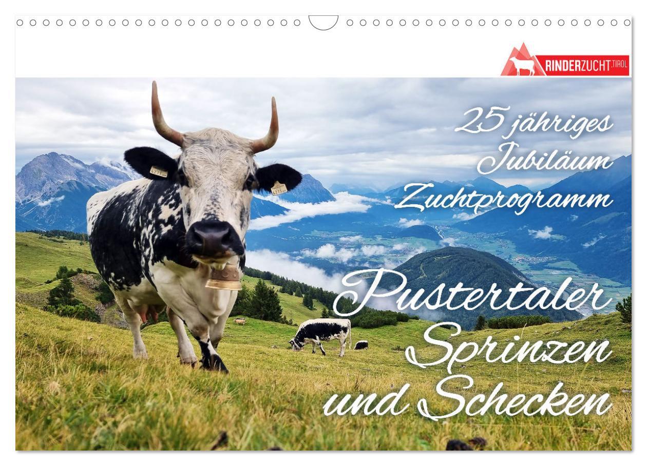 Cover: 9783457232767 | Pustertaler Sprinzen und Schecken in Österreich (Wandkalender 2025...