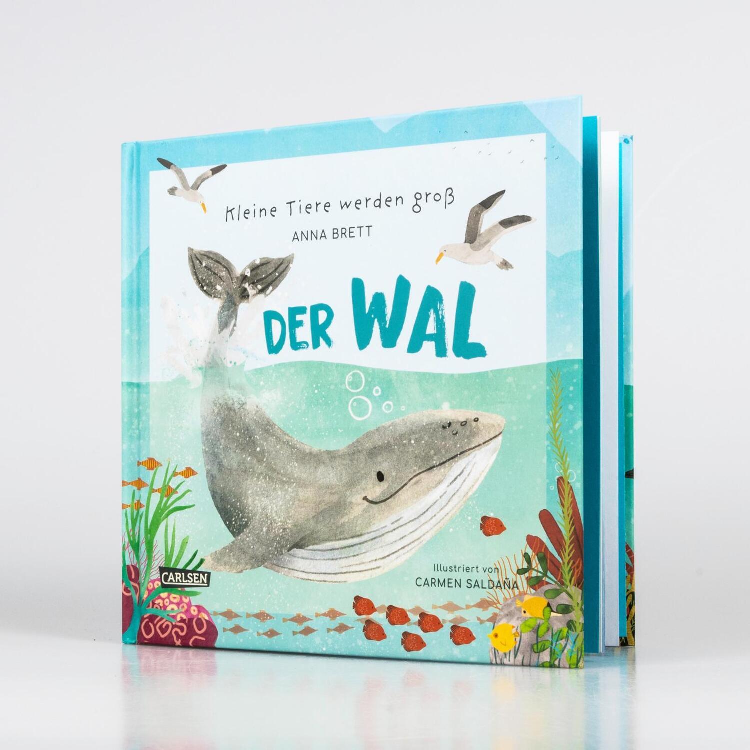 Bild: 9783551255211 | Kleine Tiere werden groß - Der Wal | Anna Brett | Buch | 48 S. | 2024