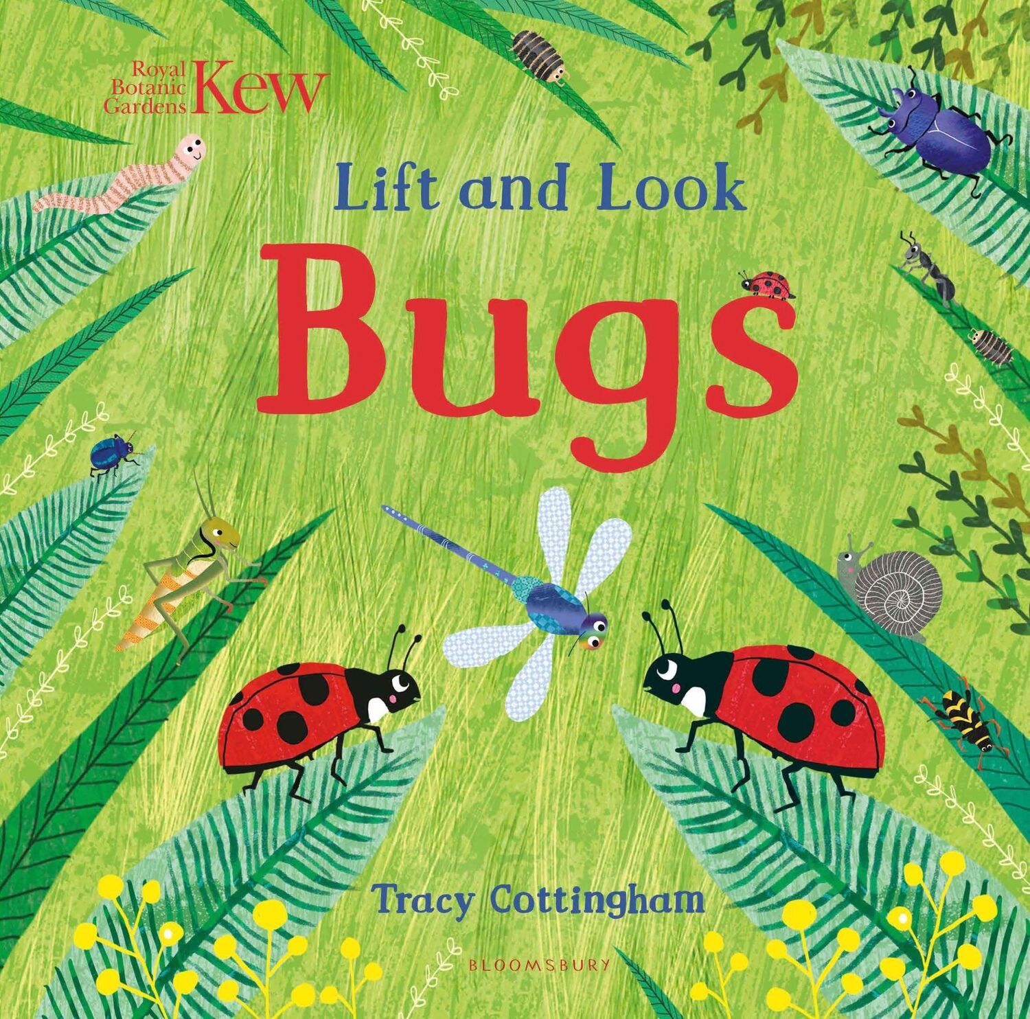 Cover: 9781408889817 | Kew: Lift and Look Bugs | Tracy Cottingham | Buch | Papp-Bilderbuch