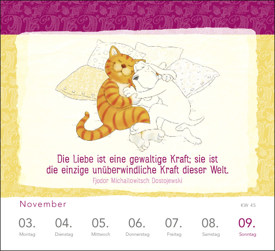 Bild: 4260308345210 | Wochenkalender 2025: Om-Katze: In der Ruhe liegt die Kraft | Verlag