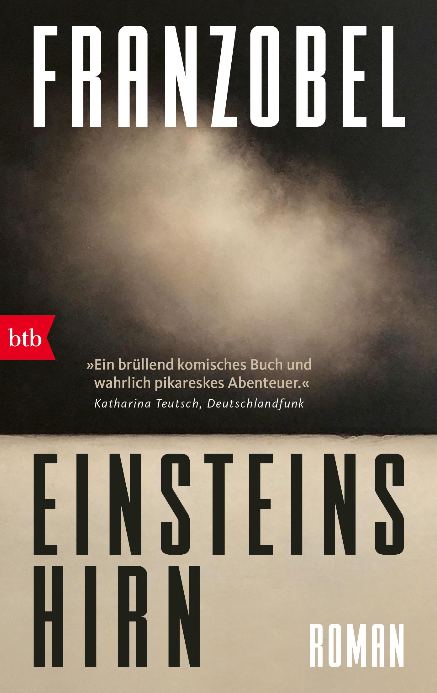 Cover: 9783442774579 | Einsteins Hirn | Roman | Franzobel | Taschenbuch | 544 S. | Deutsch