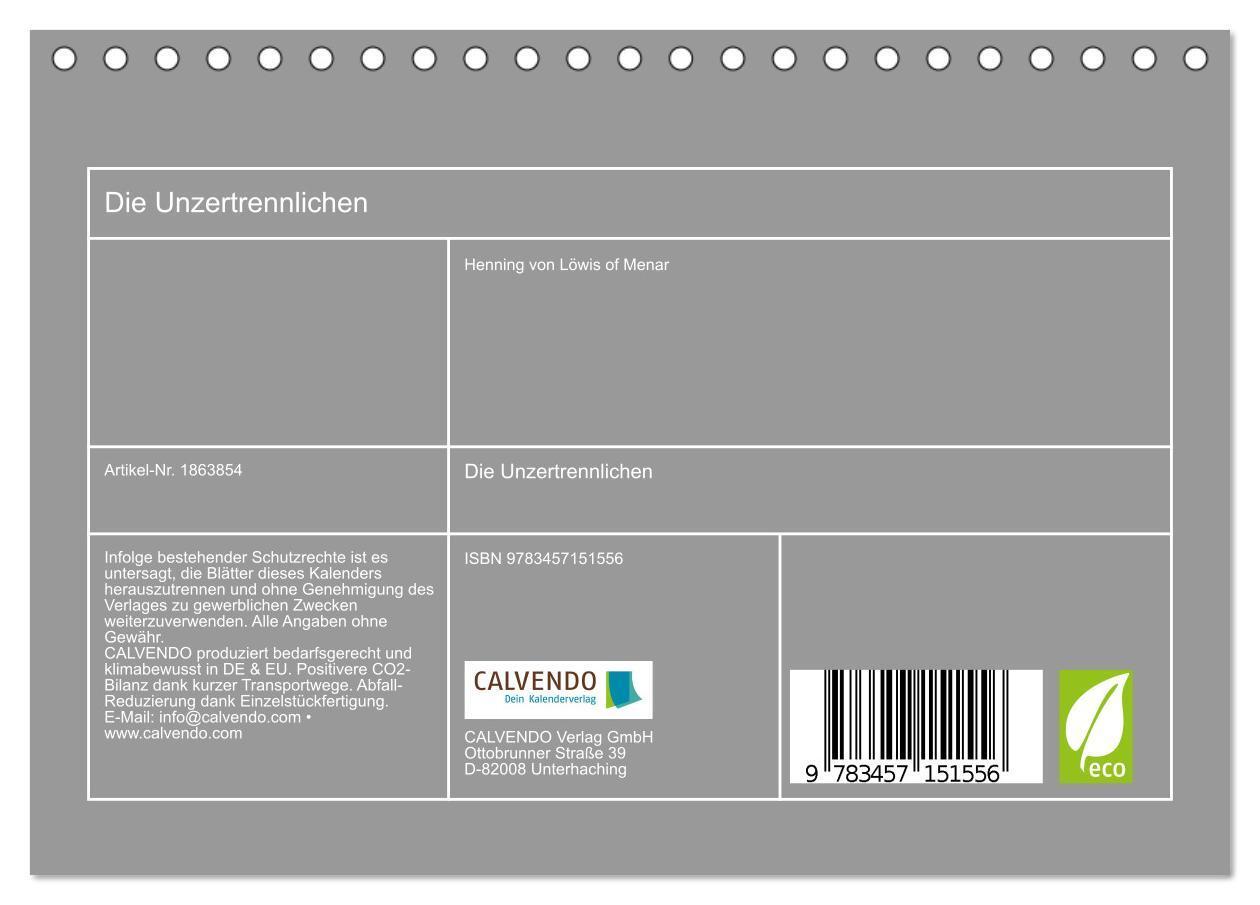 Bild: 9783457151556 | Die Unzertrennlichen (Tischkalender 2025 DIN A5 quer), CALVENDO...