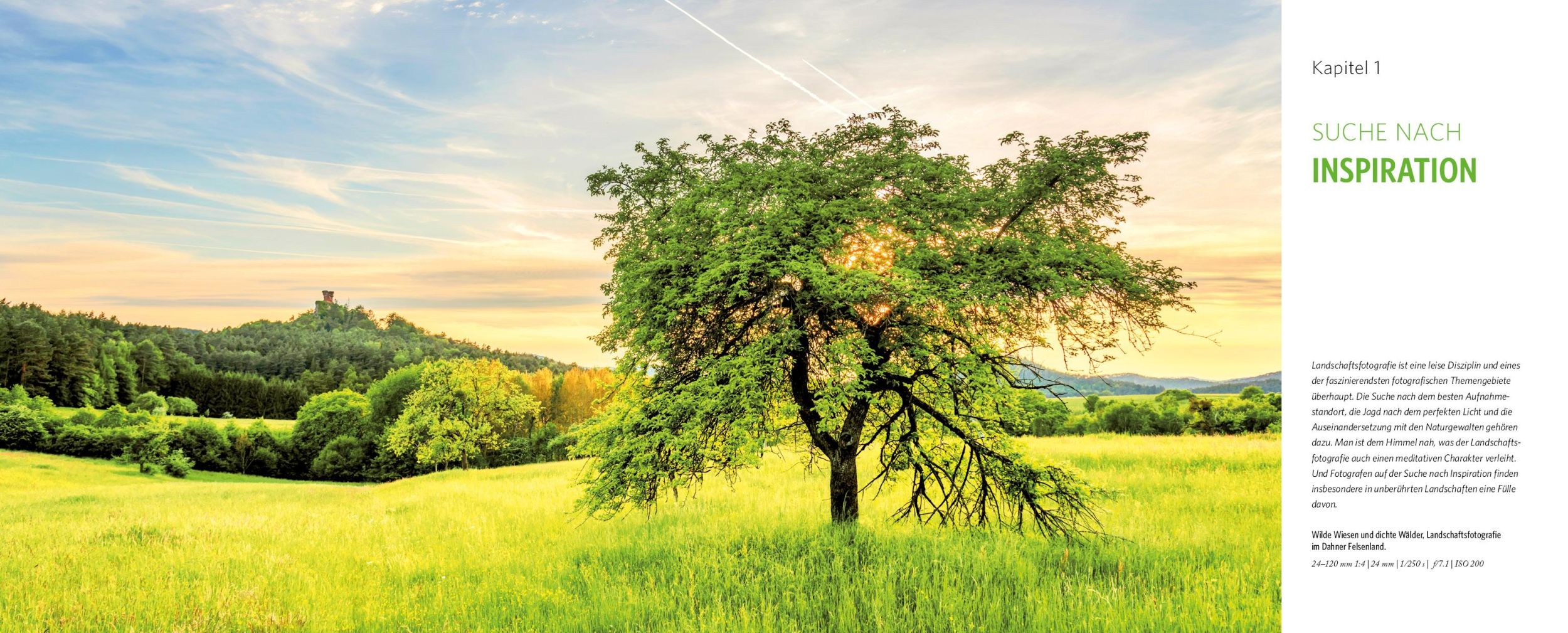 Bild: 9783832804442 | Landschaftsfotografie - Das große Praxisbuch | Pacek Andreas | Buch