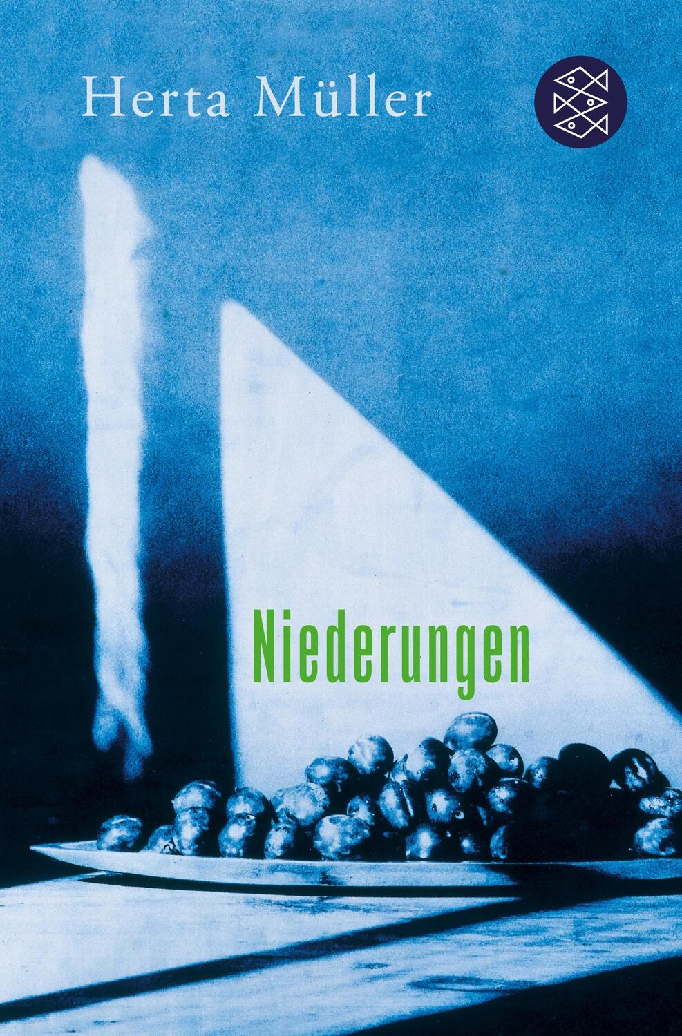 Cover: 9783596189816 | Niederungen | Herta Müller | Taschenbuch | Paperback | 176 S. | 2011