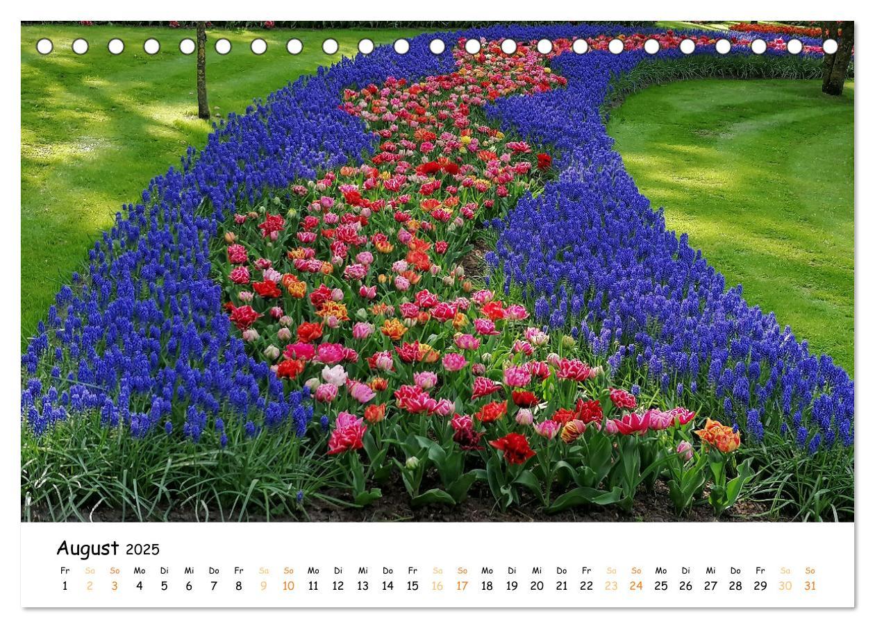 Bild: 9783383923623 | Auf Tour im Land der Tulpen (Tischkalender 2025 DIN A5 quer),...