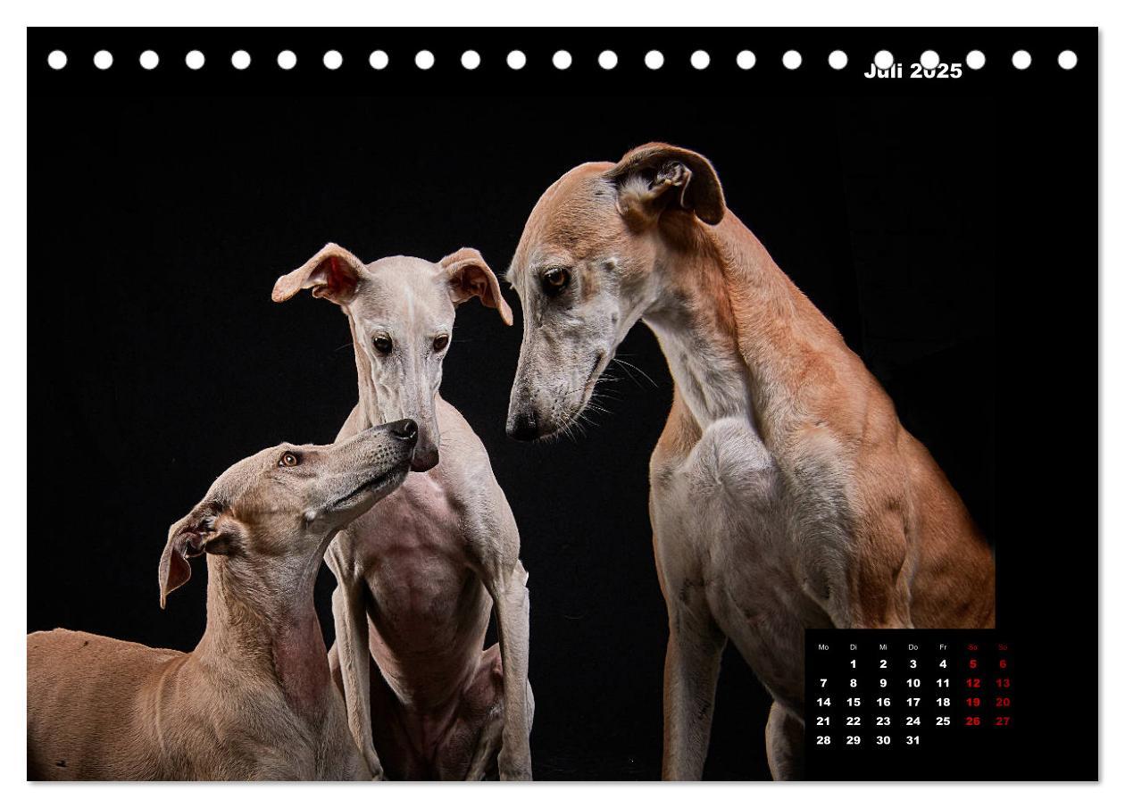 Bild: 9783435227716 | Die Stimme der Windhunde (Tischkalender 2025 DIN A5 quer), CALVENDO...