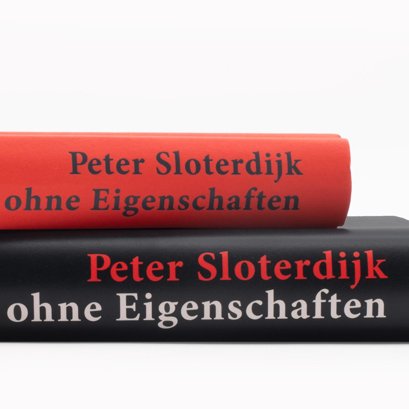 Bild: 9783518432143 | Der Kontinent ohne Eigenschaften | Peter Sloterdijk | Buch | 296 S.