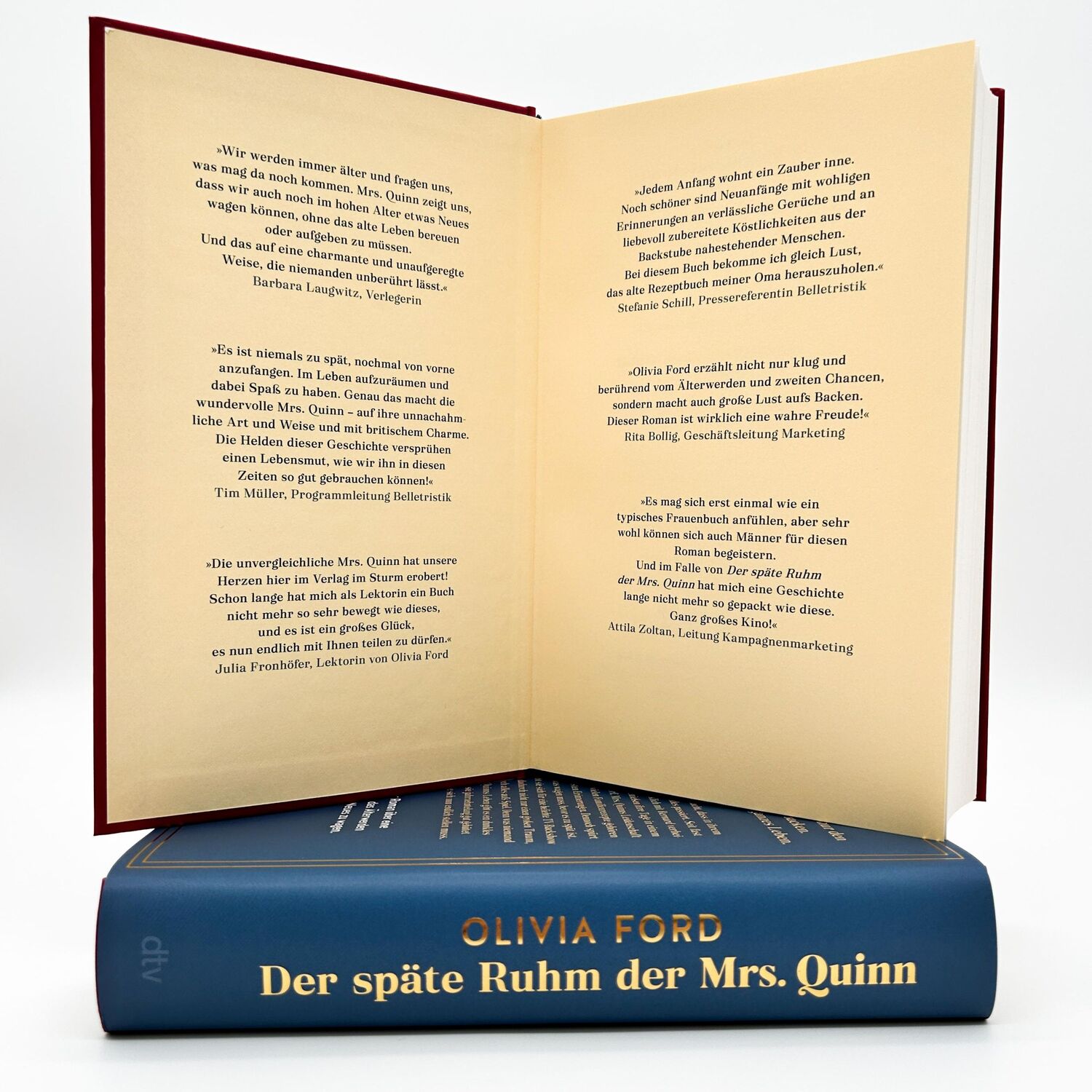 Bild: 9783423283823 | Der späte Ruhm der Mrs. Quinn | Olivia Ford | Buch | 400 S. | Deutsch