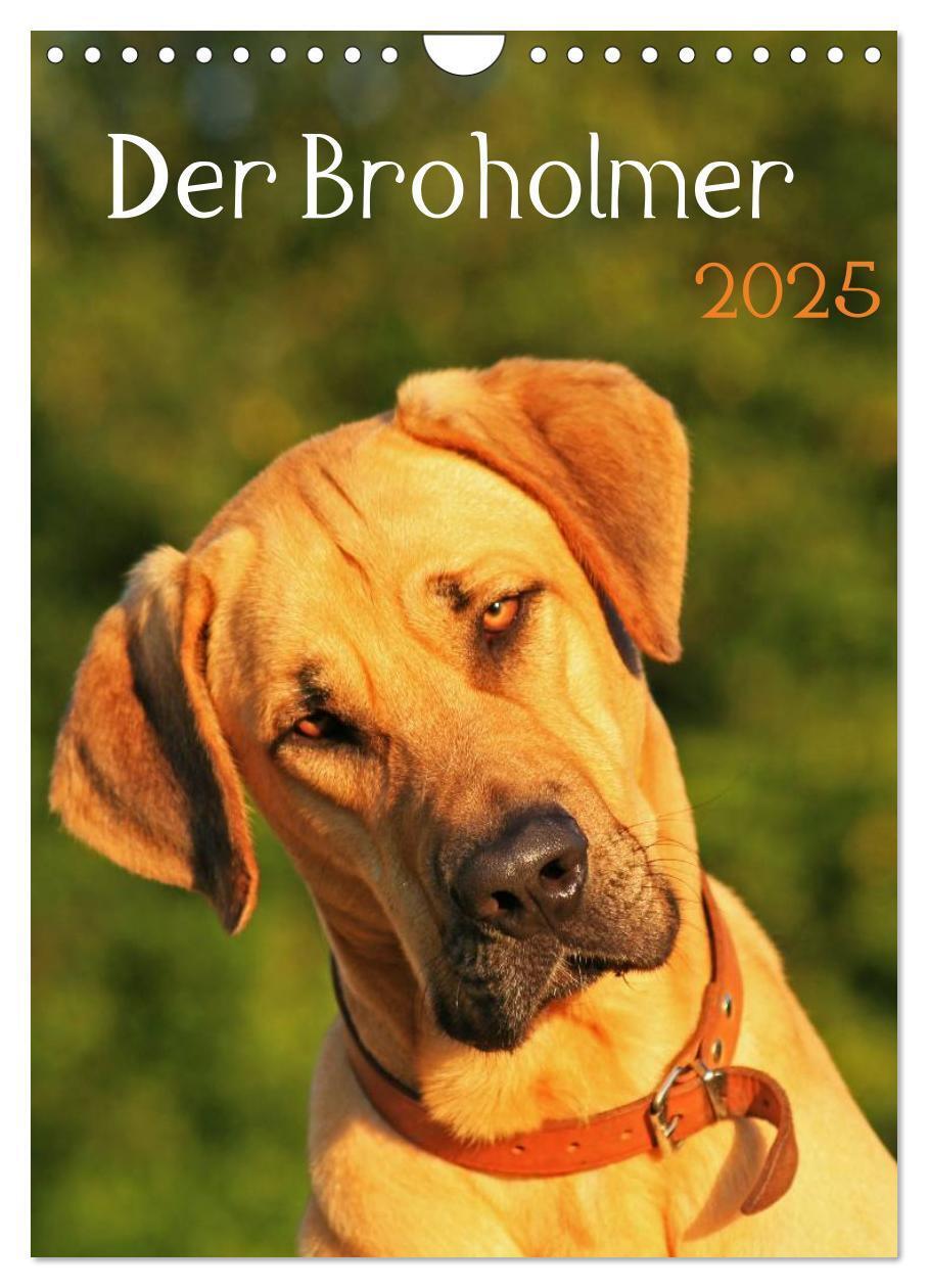 Cover: 9783457056653 | Der Broholmer (Wandkalender 2025 DIN A4 hoch), CALVENDO Monatskalender