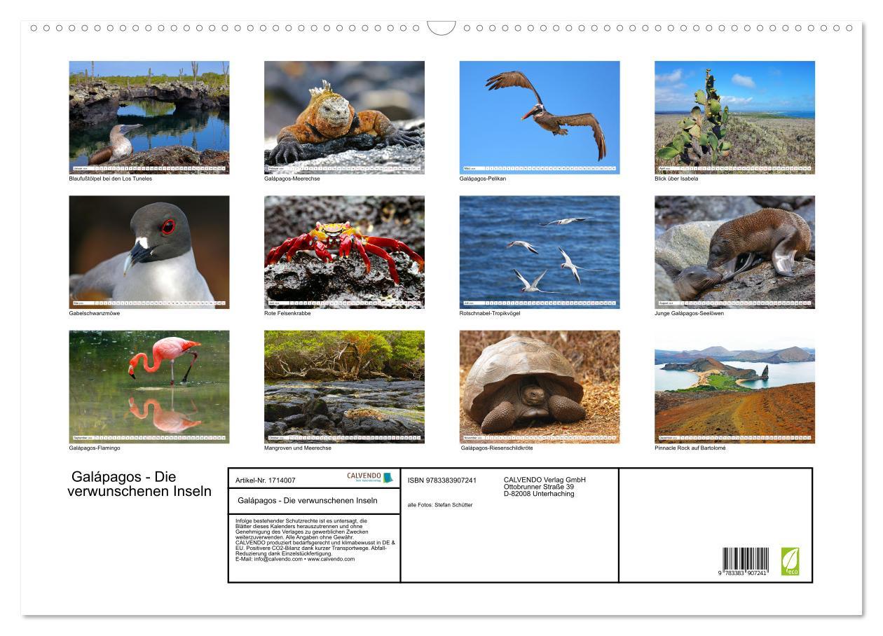 Bild: 9783383907241 | Galápagos - Die verwunschenen Inseln (Wandkalender 2025 DIN A2...